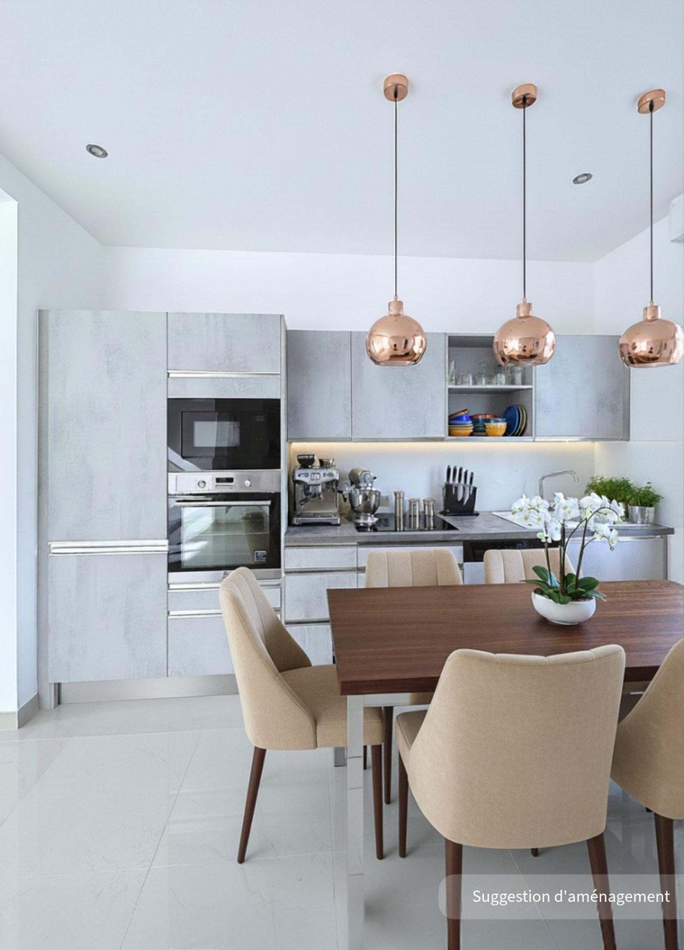 Photo 2 de l'annonce.