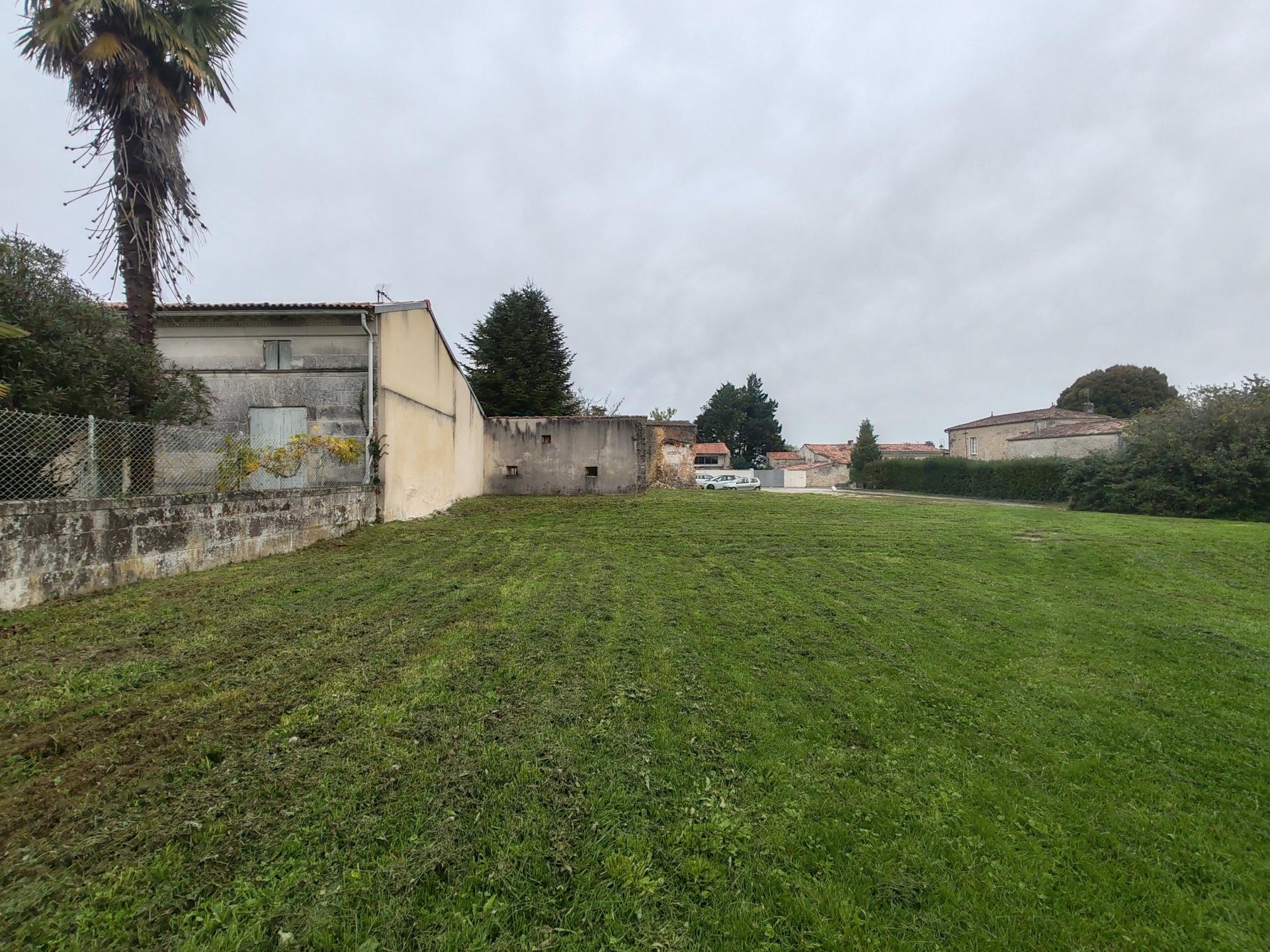 Photo 5 de l'annonce