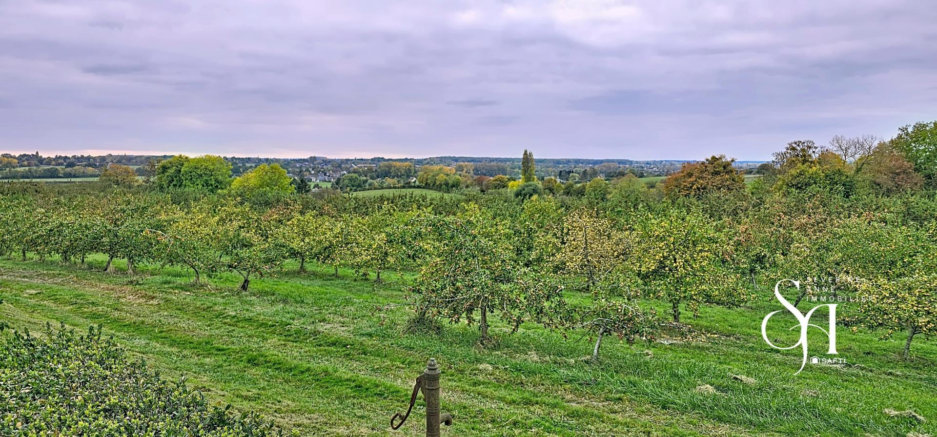 Photo 33 de l'annonce.