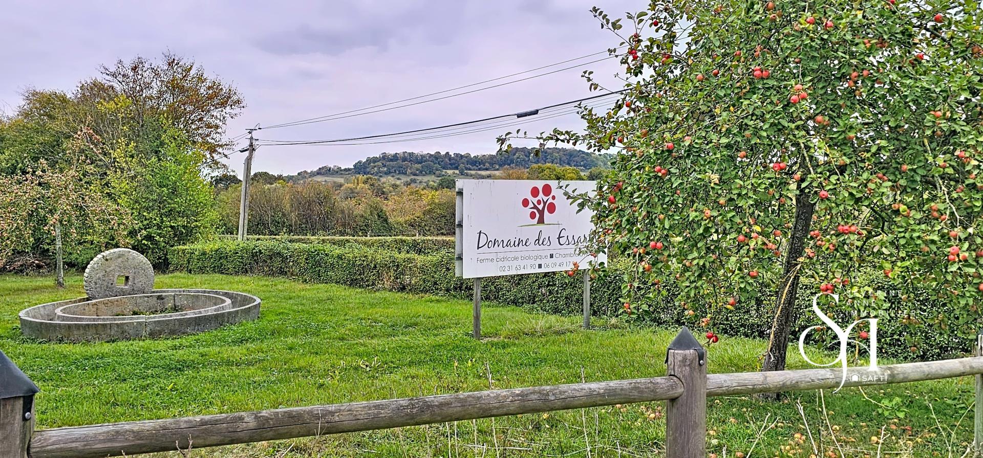 Photo 32 de l'annonce.