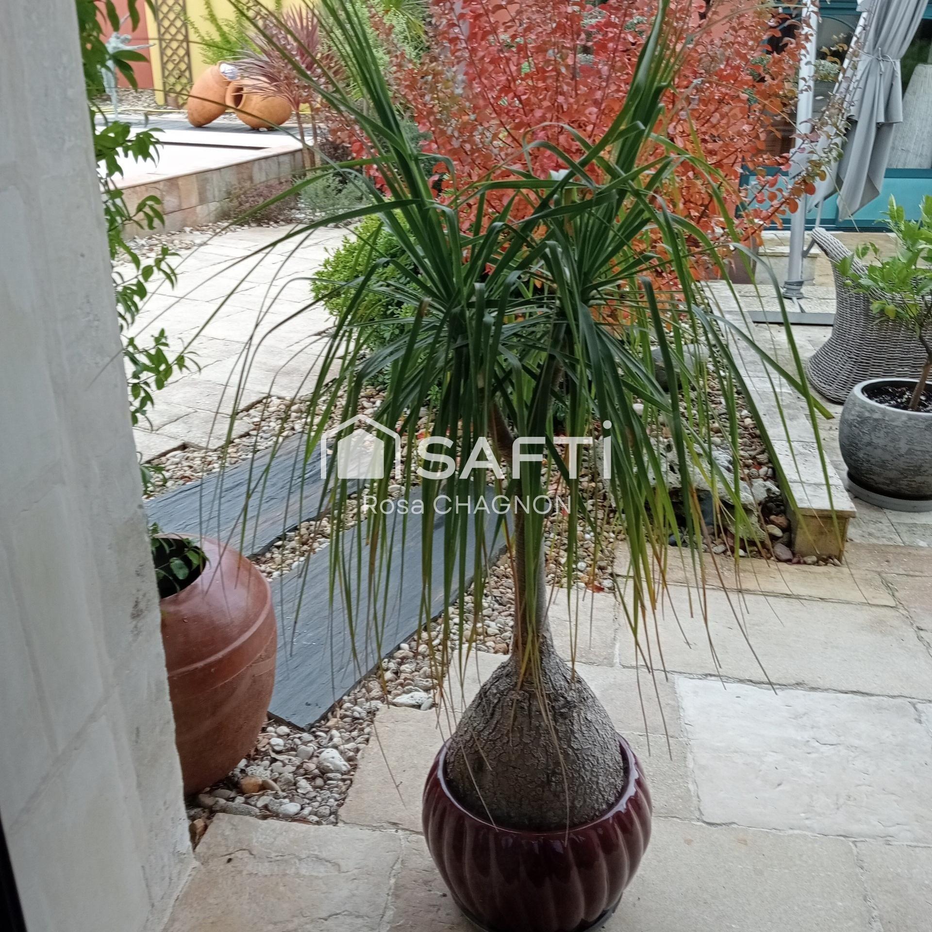 Photo 3 de l'annonce.