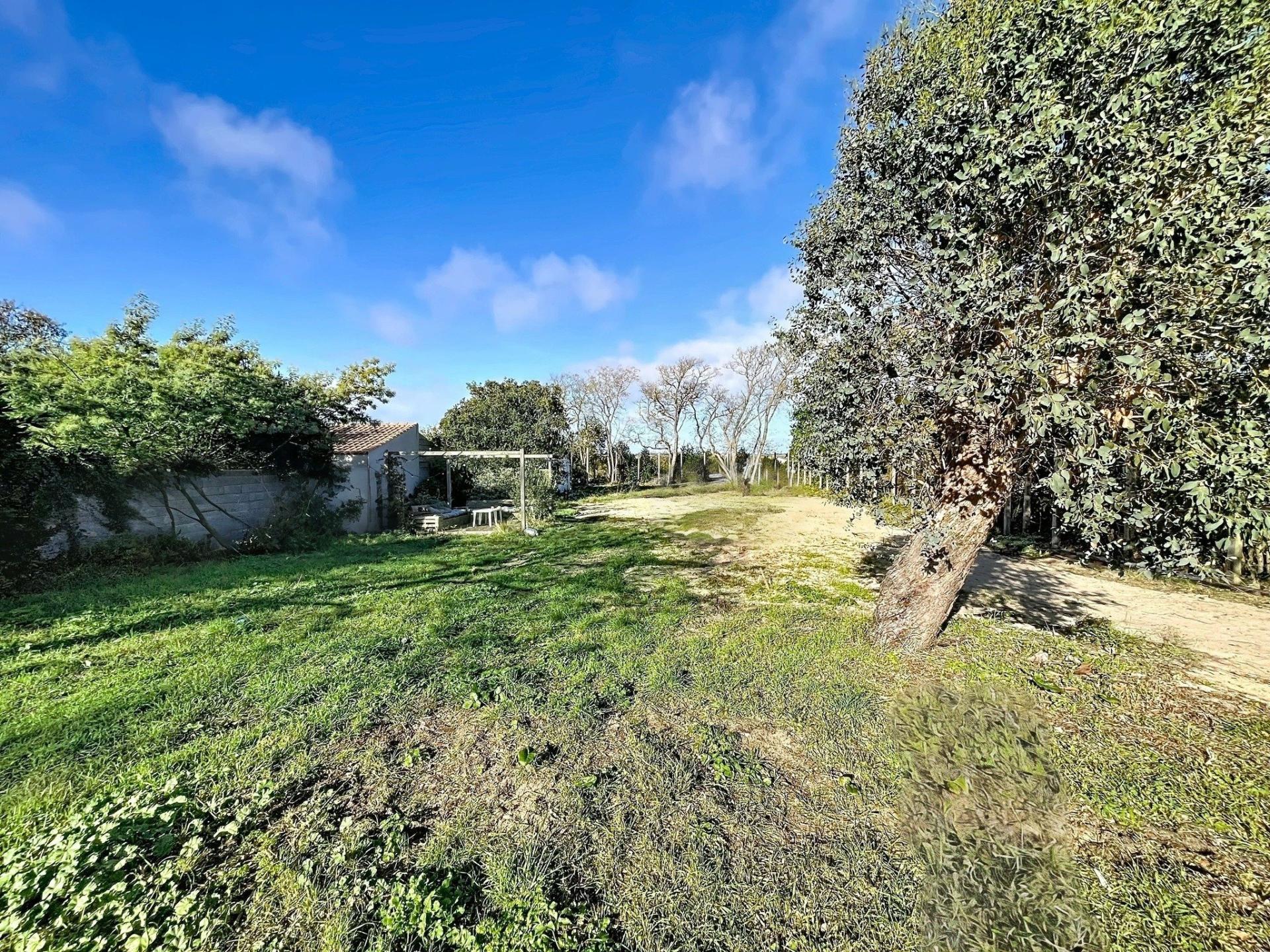 Photo 11 de l'annonce.