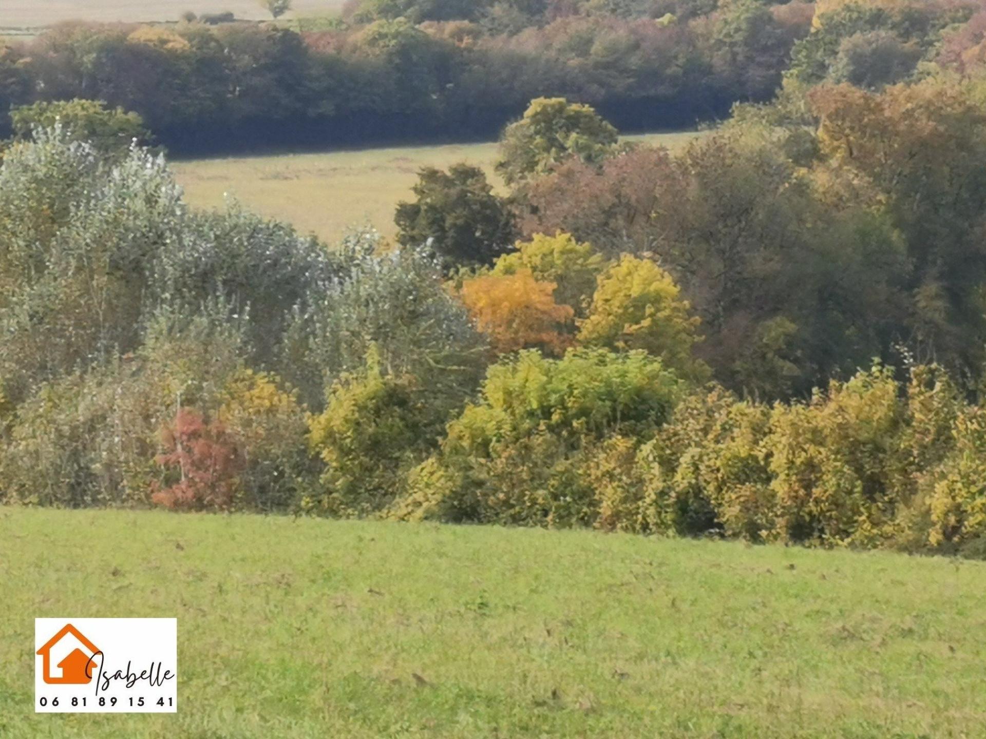 Photographie descriptive du bien