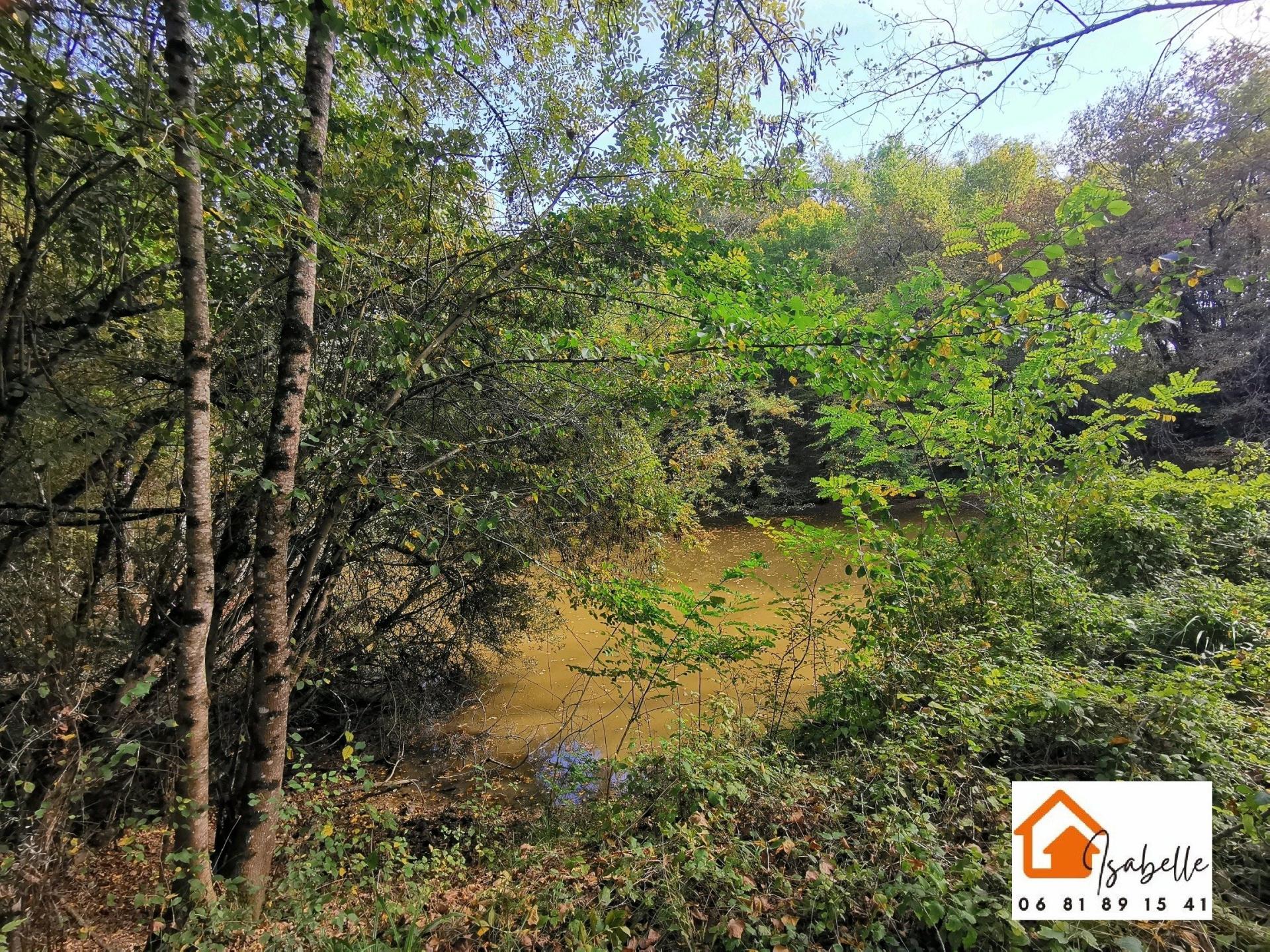 Photo 12 of the listing.