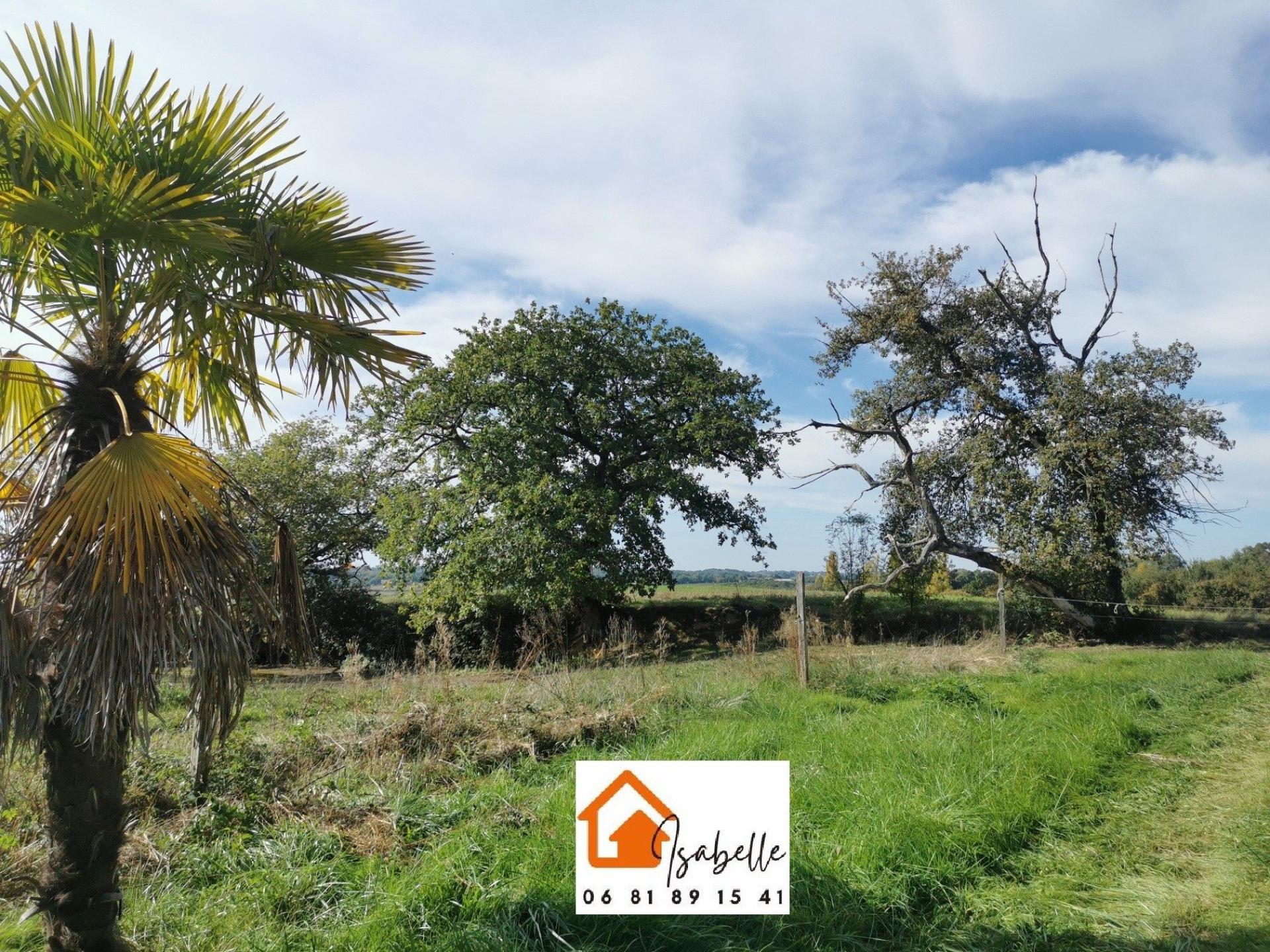 Photo 8 of the listing.