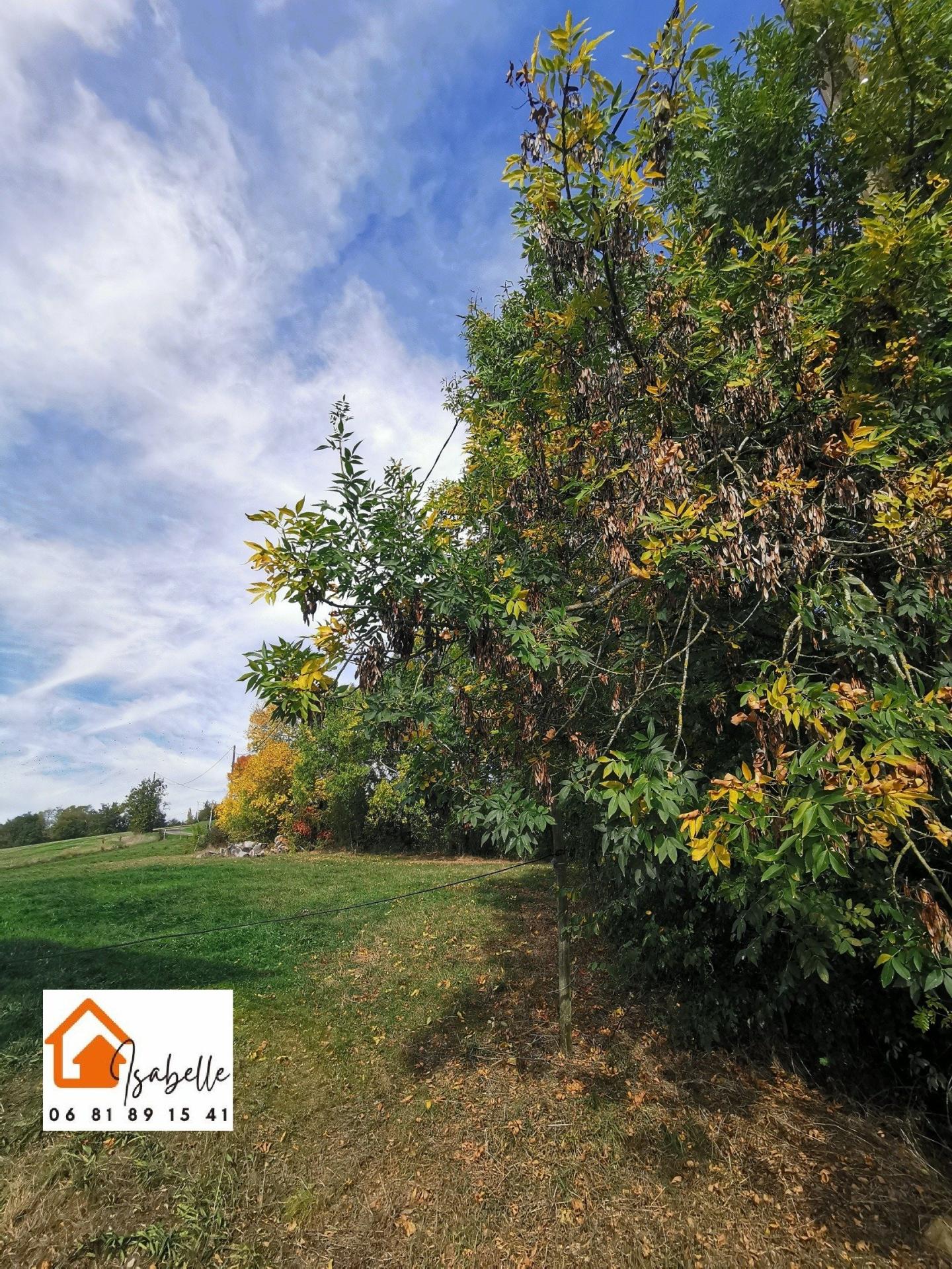 Photo 11 of the listing.