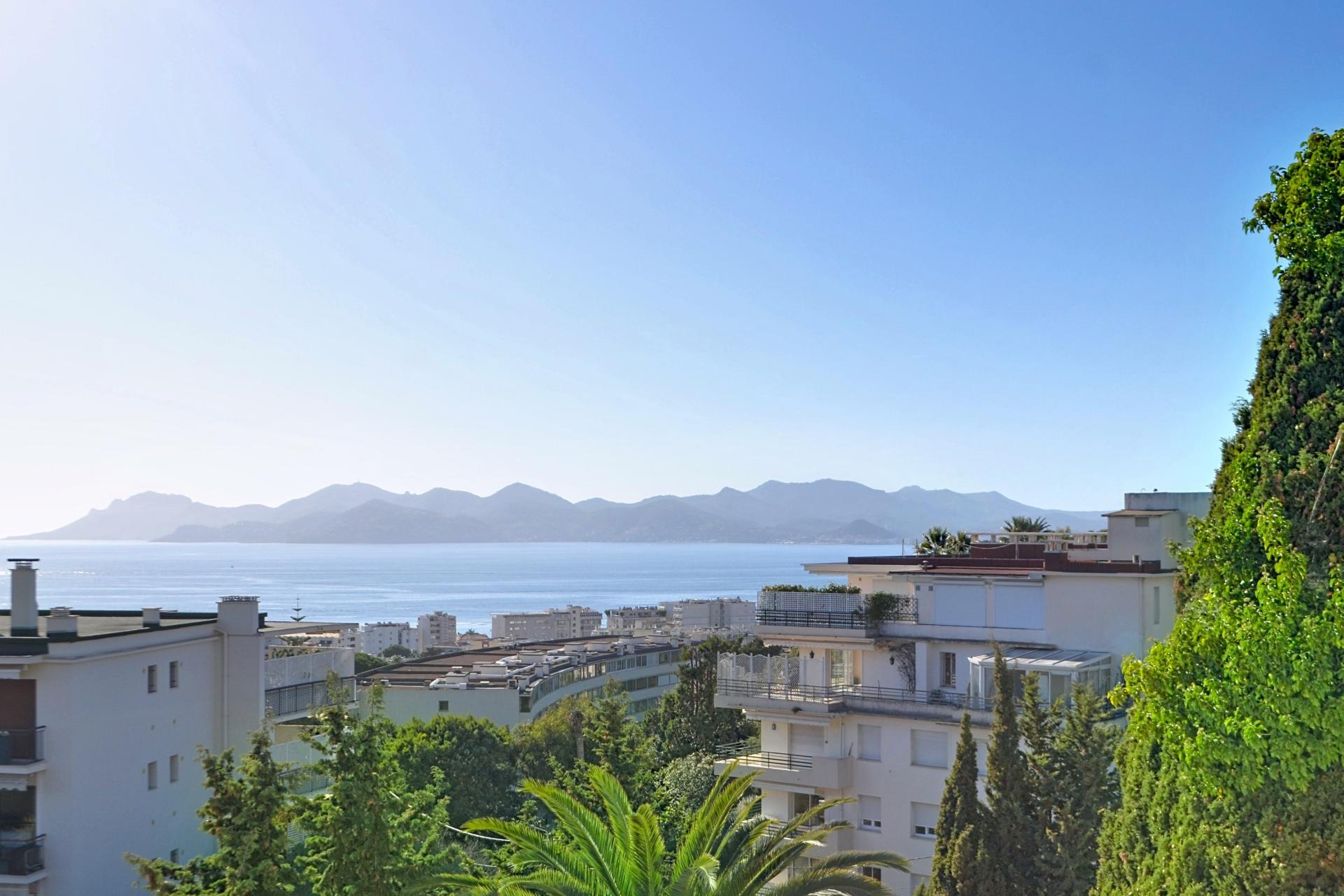 Photo 3 de l'annonce.