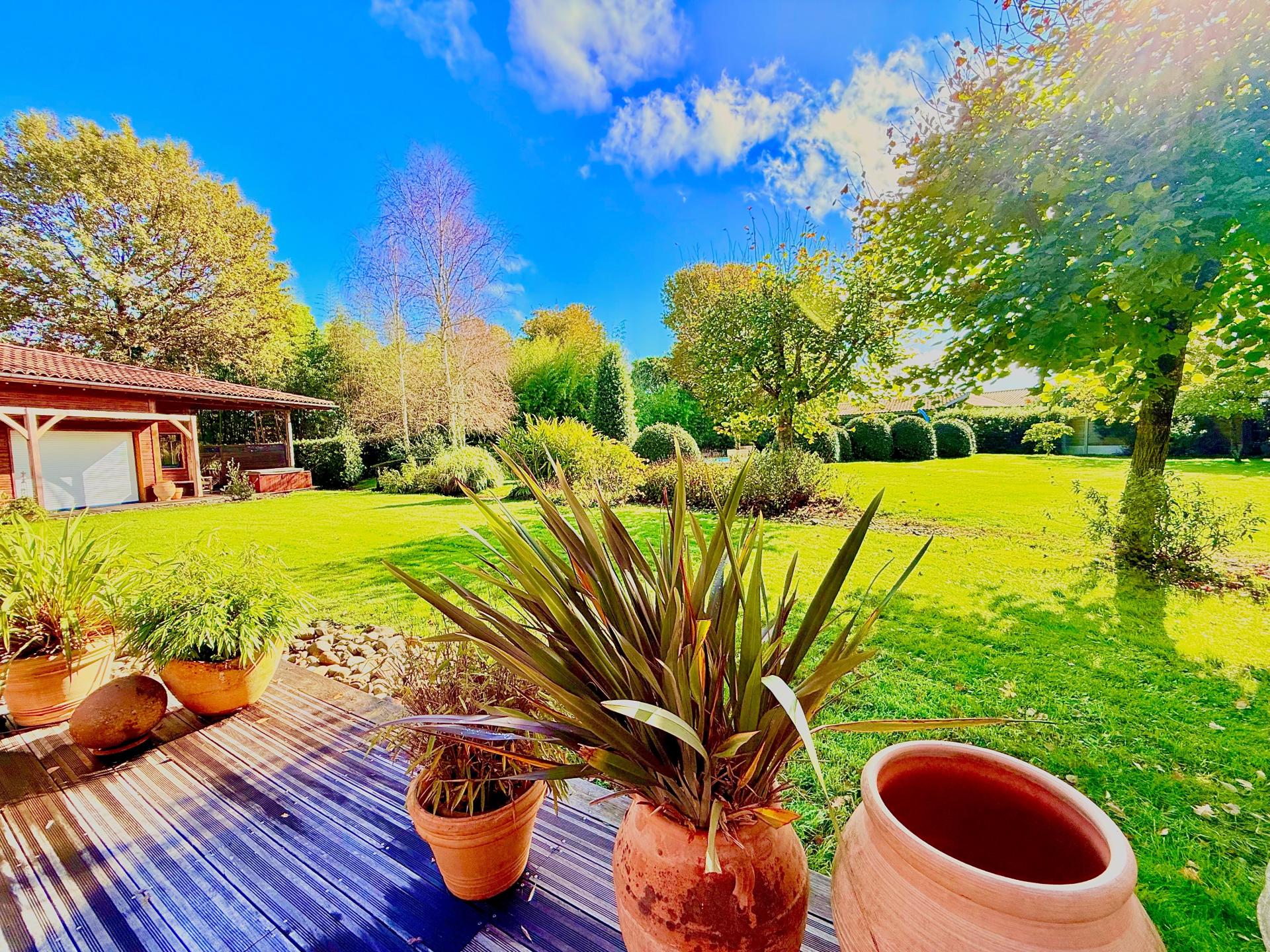 Photo 11 de l'annonce.