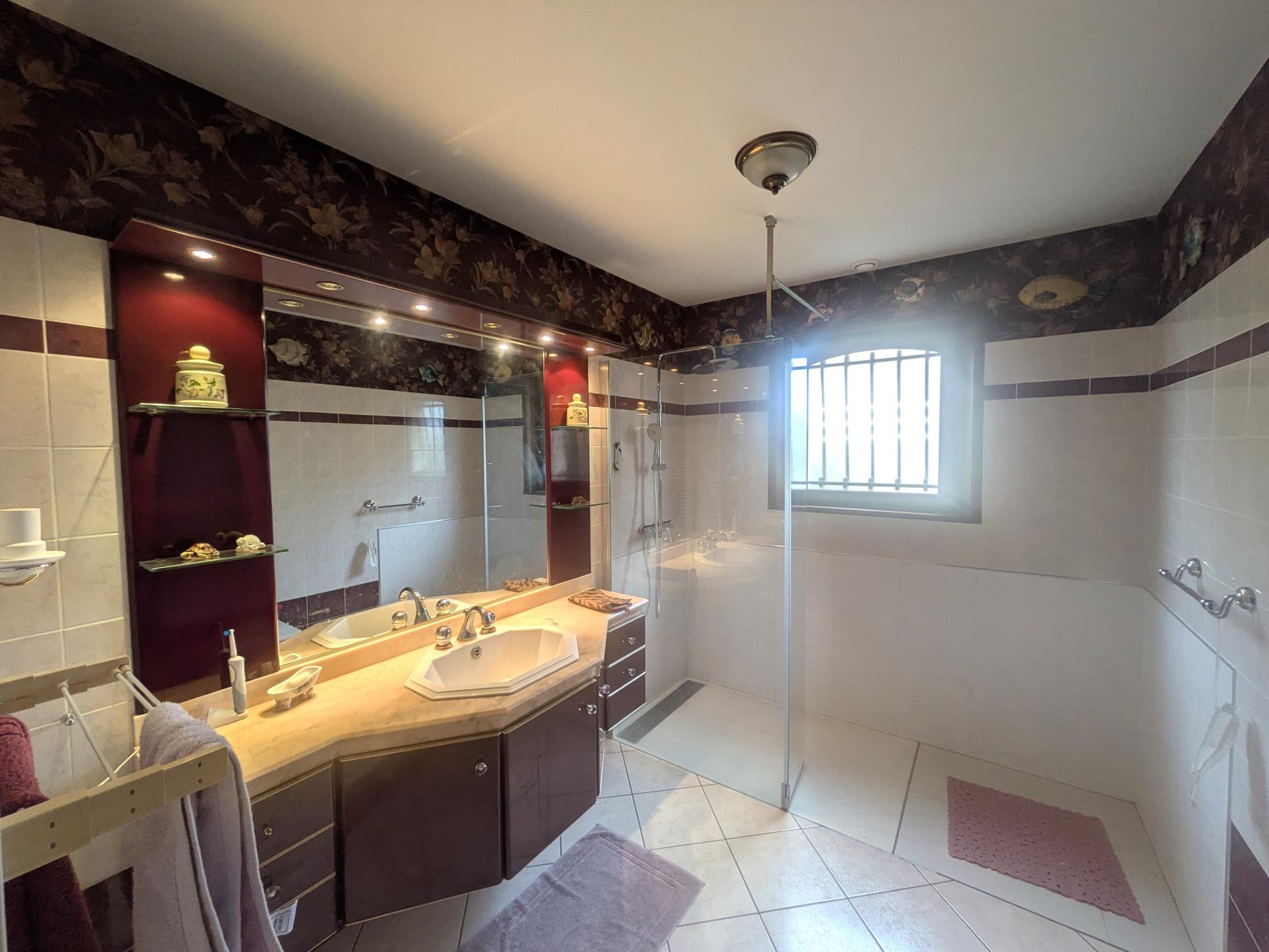 Photo 8 de l'annonce.