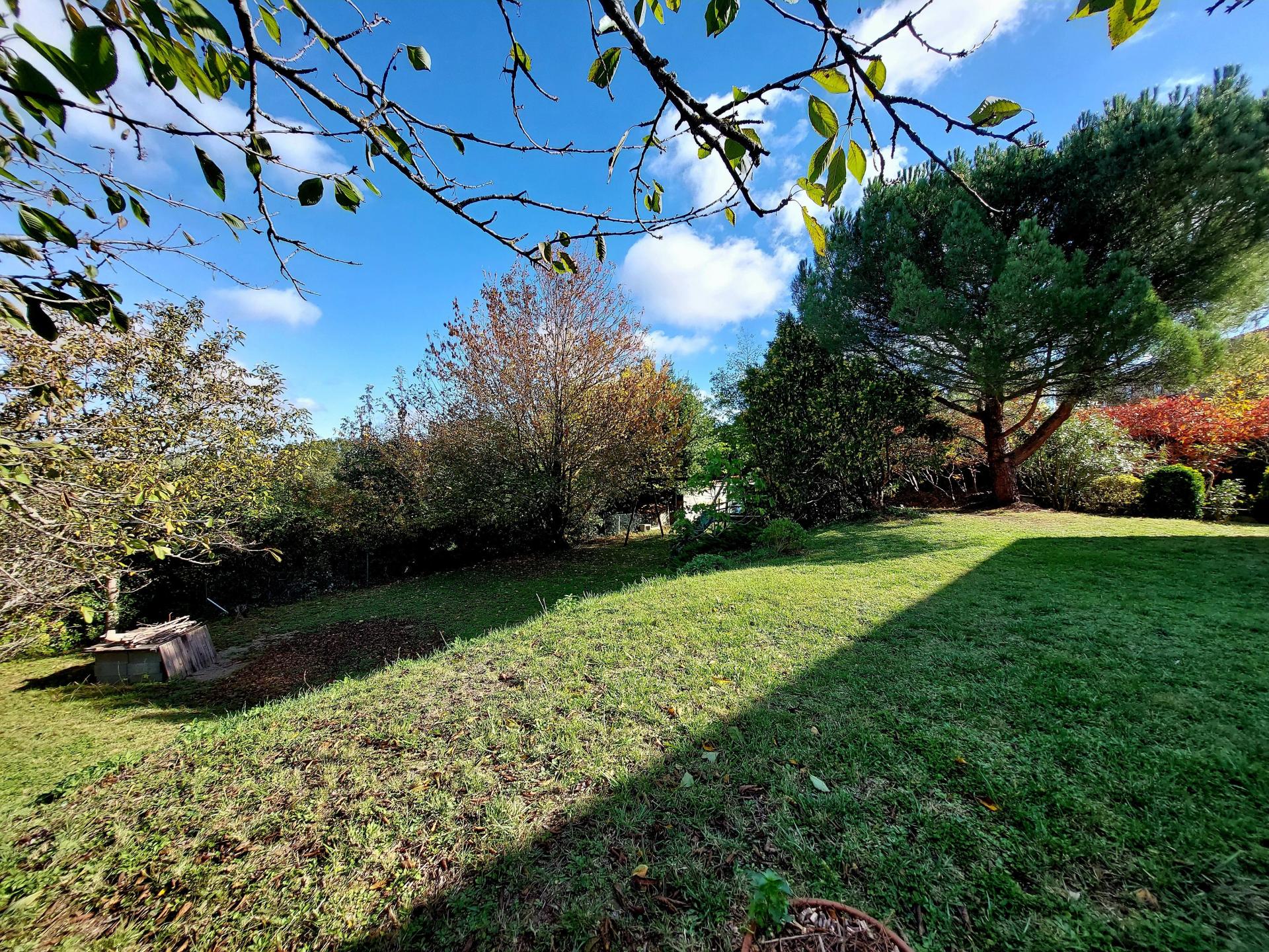 Photo 3 de l'annonce.