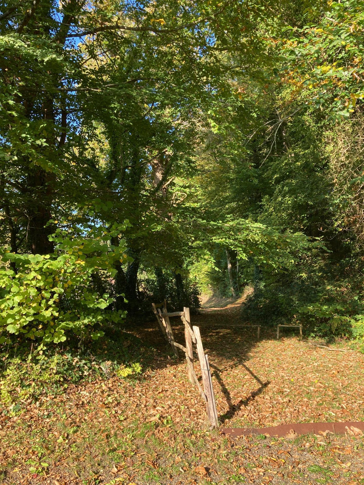 Photo 4 de l'annonce.