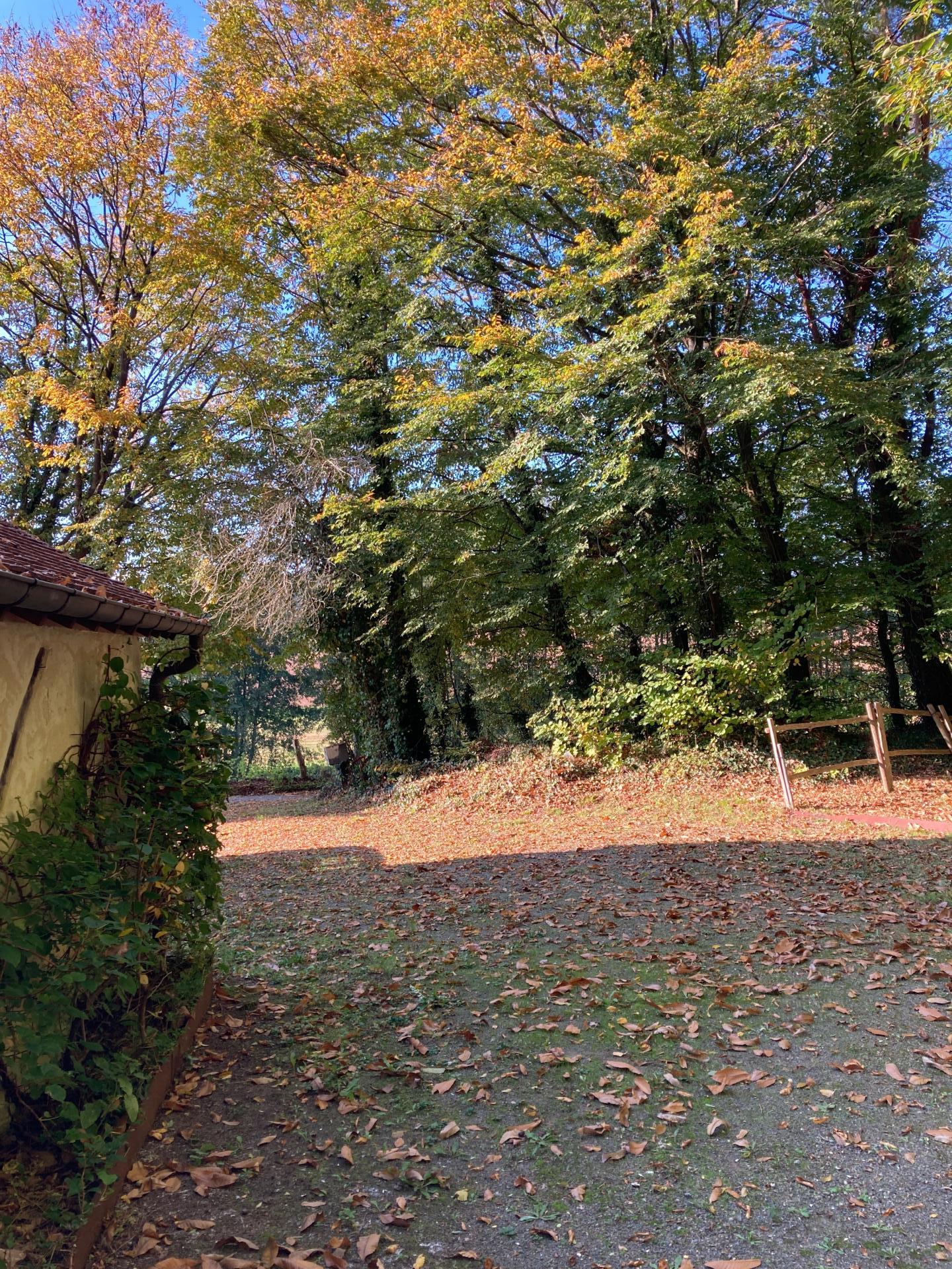 Photo 32 de l'annonce.