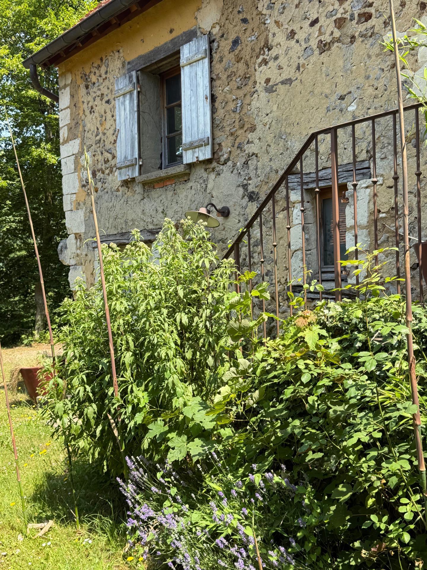Photo 32 de l'annonce.