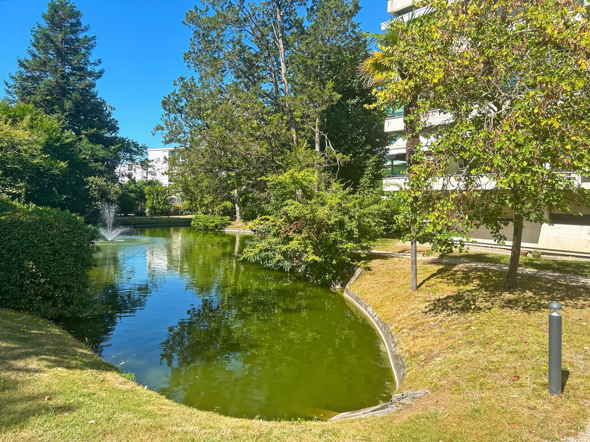 Photo 8 de l'annonce.