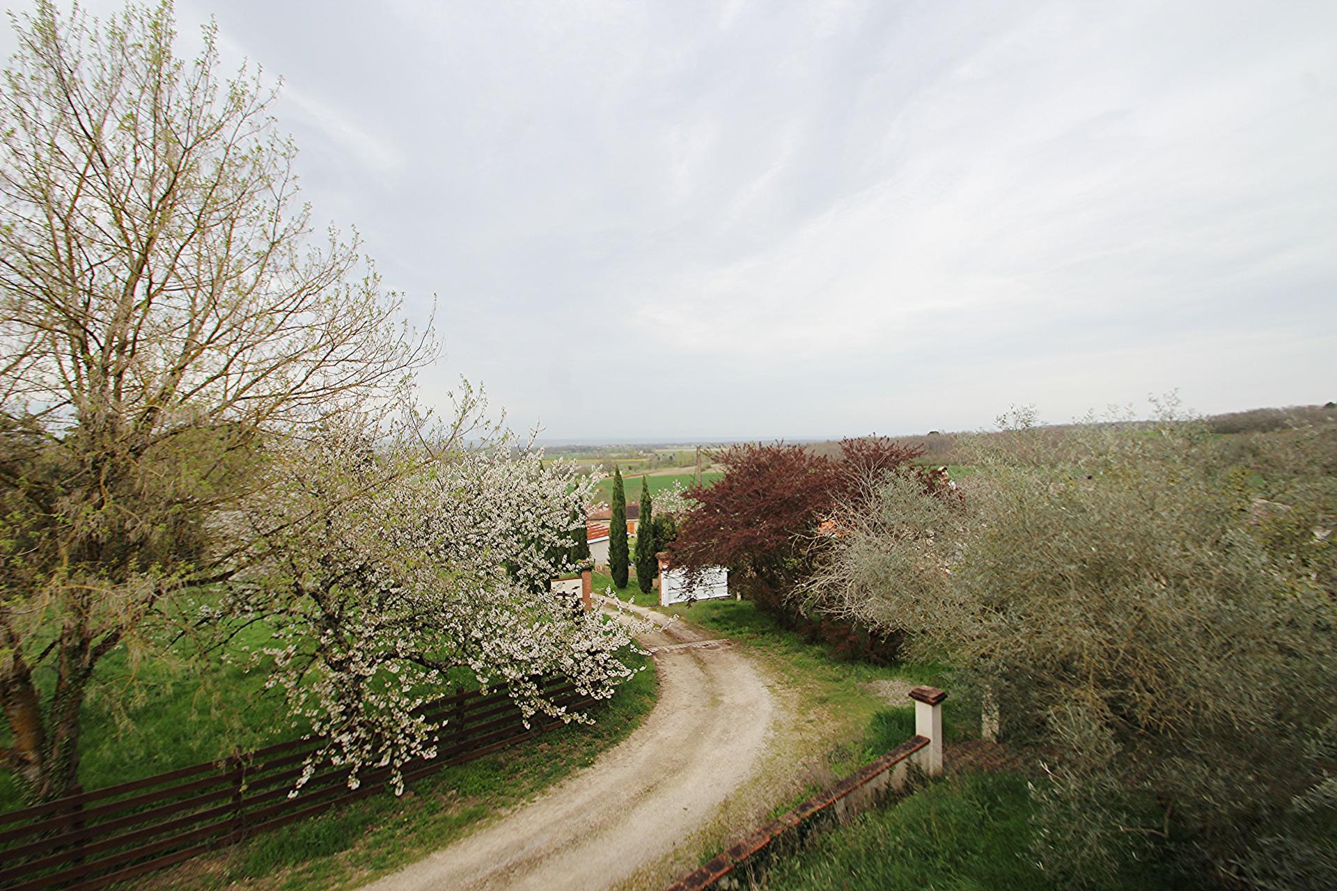 Photo 7 of the listing.