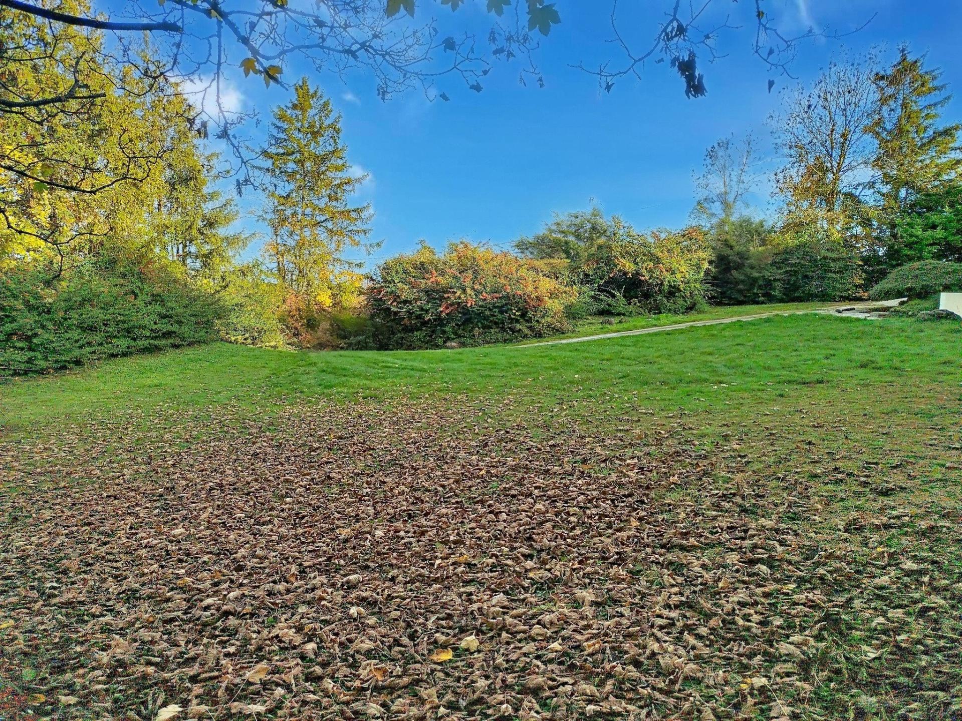 Photo 11 de l'annonce.