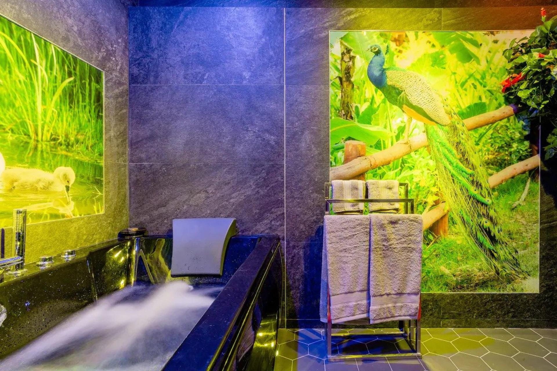 Photo 13 de l'annonce.