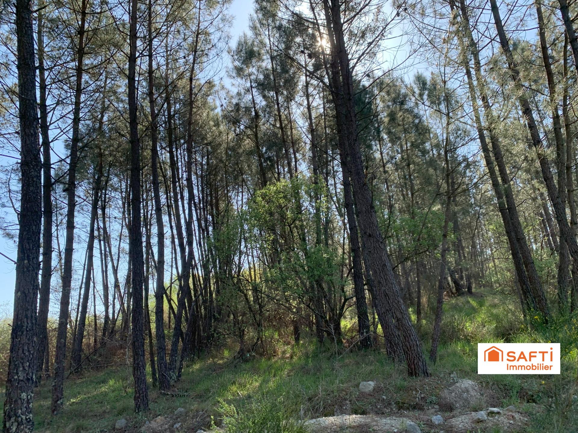 Photo 3 of the listing.