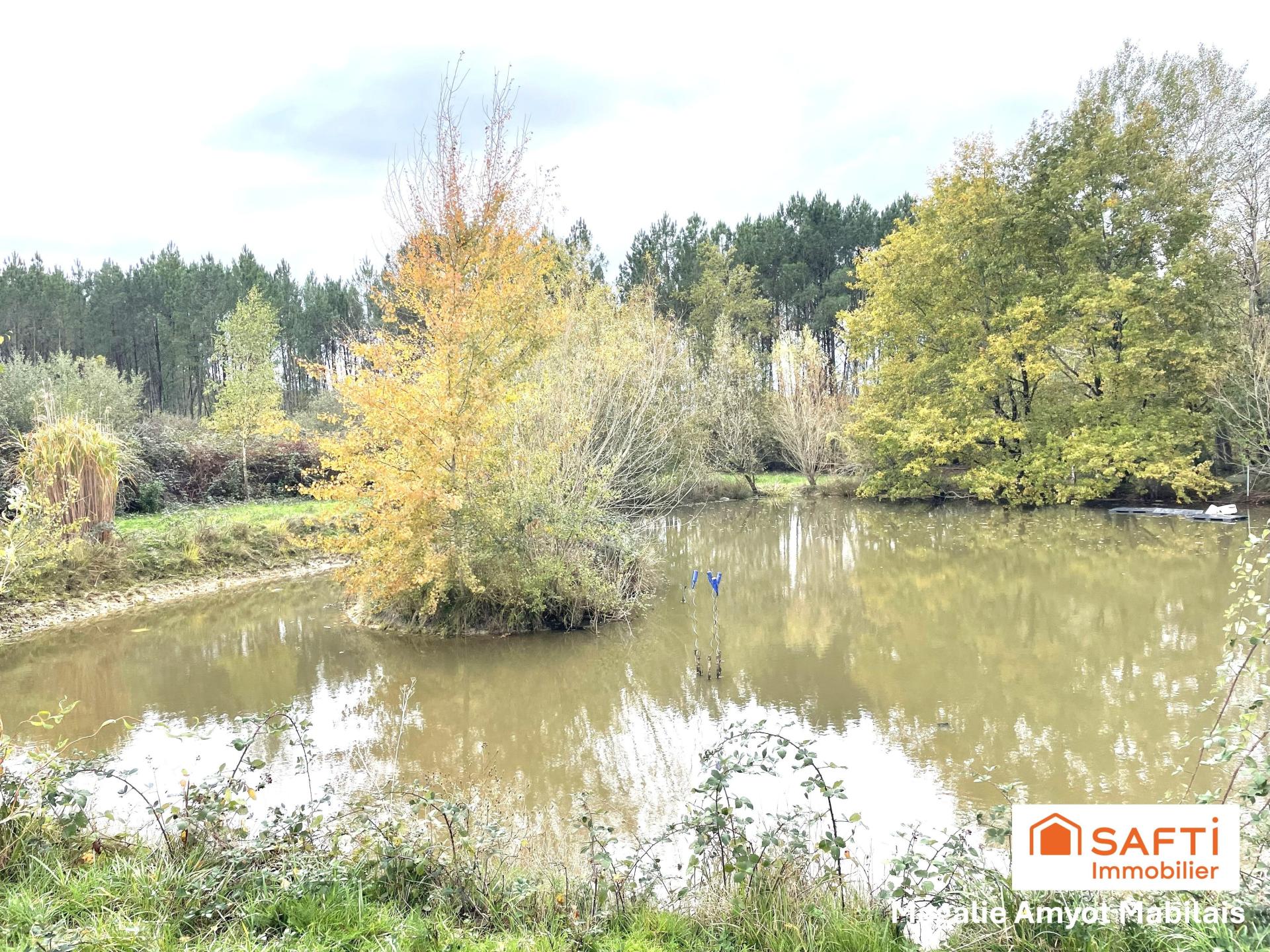 Photo 13 of the listing.