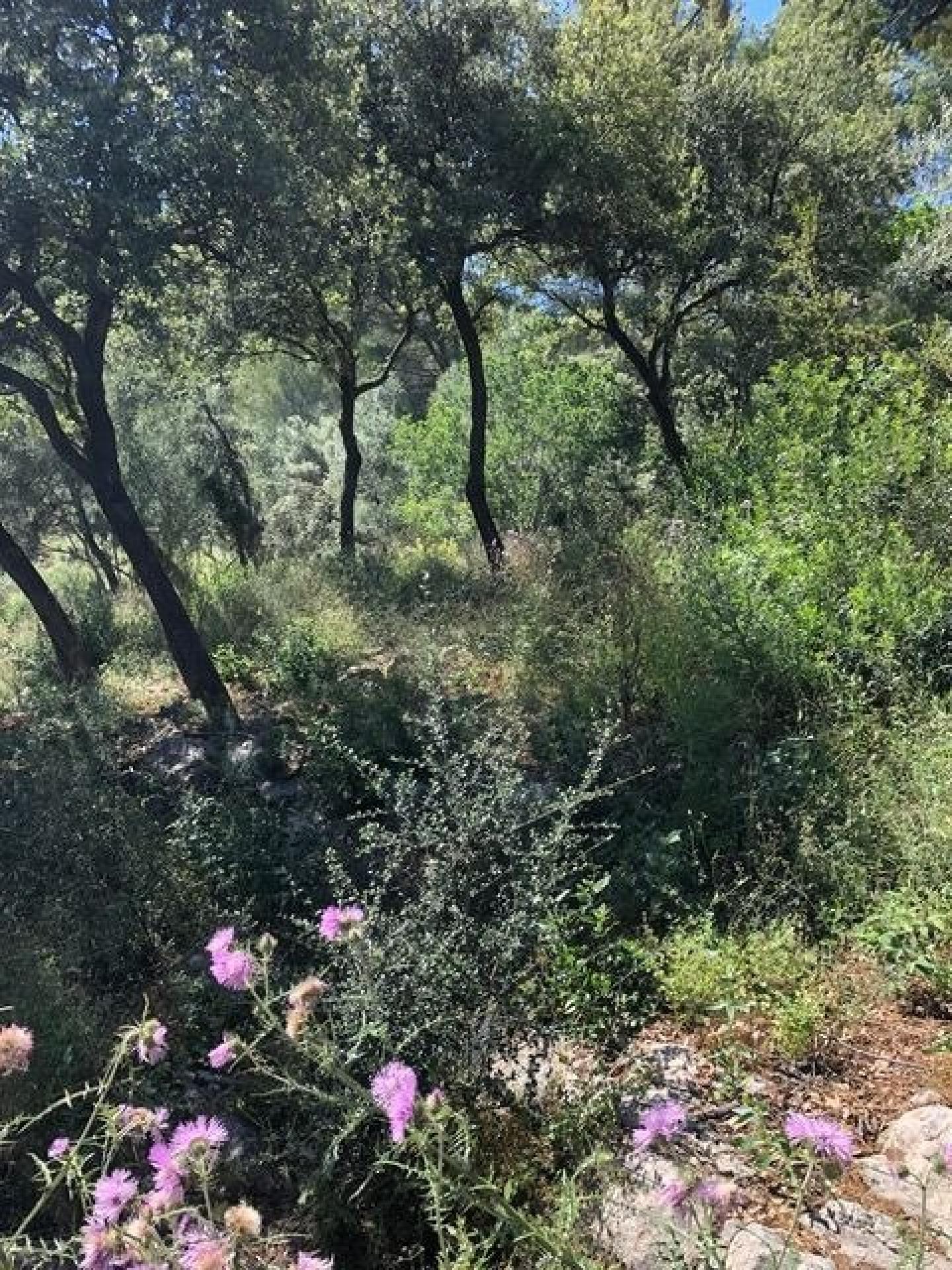 Photo 6 de l'annonce.