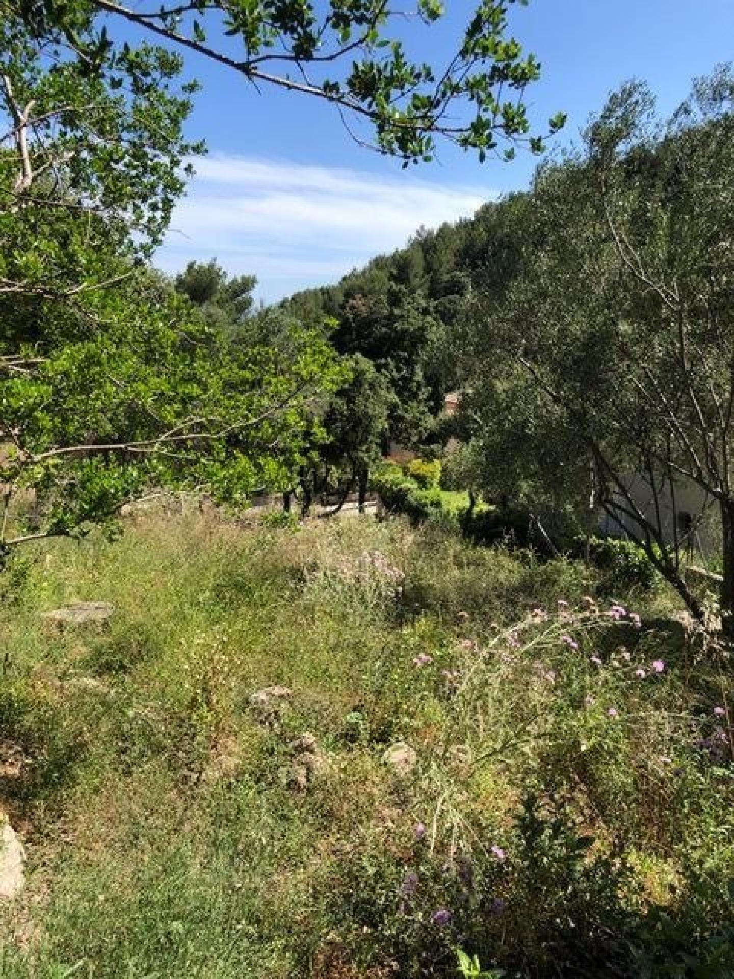 Photo 8 de l'annonce.