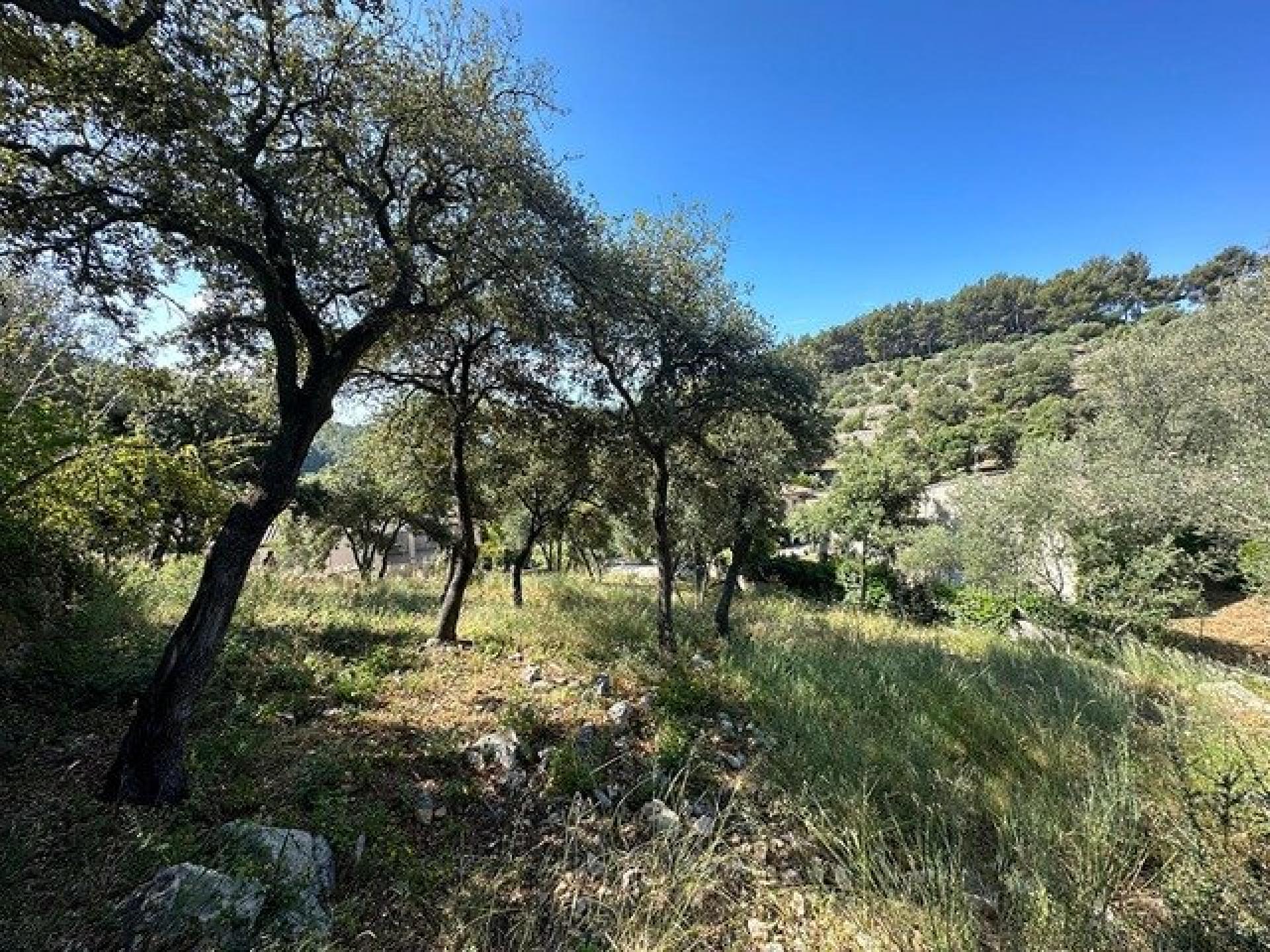 Photo 2 de l'annonce.