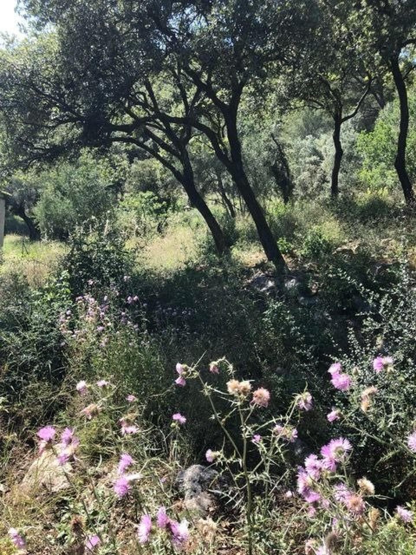 Photo 9 de l'annonce.