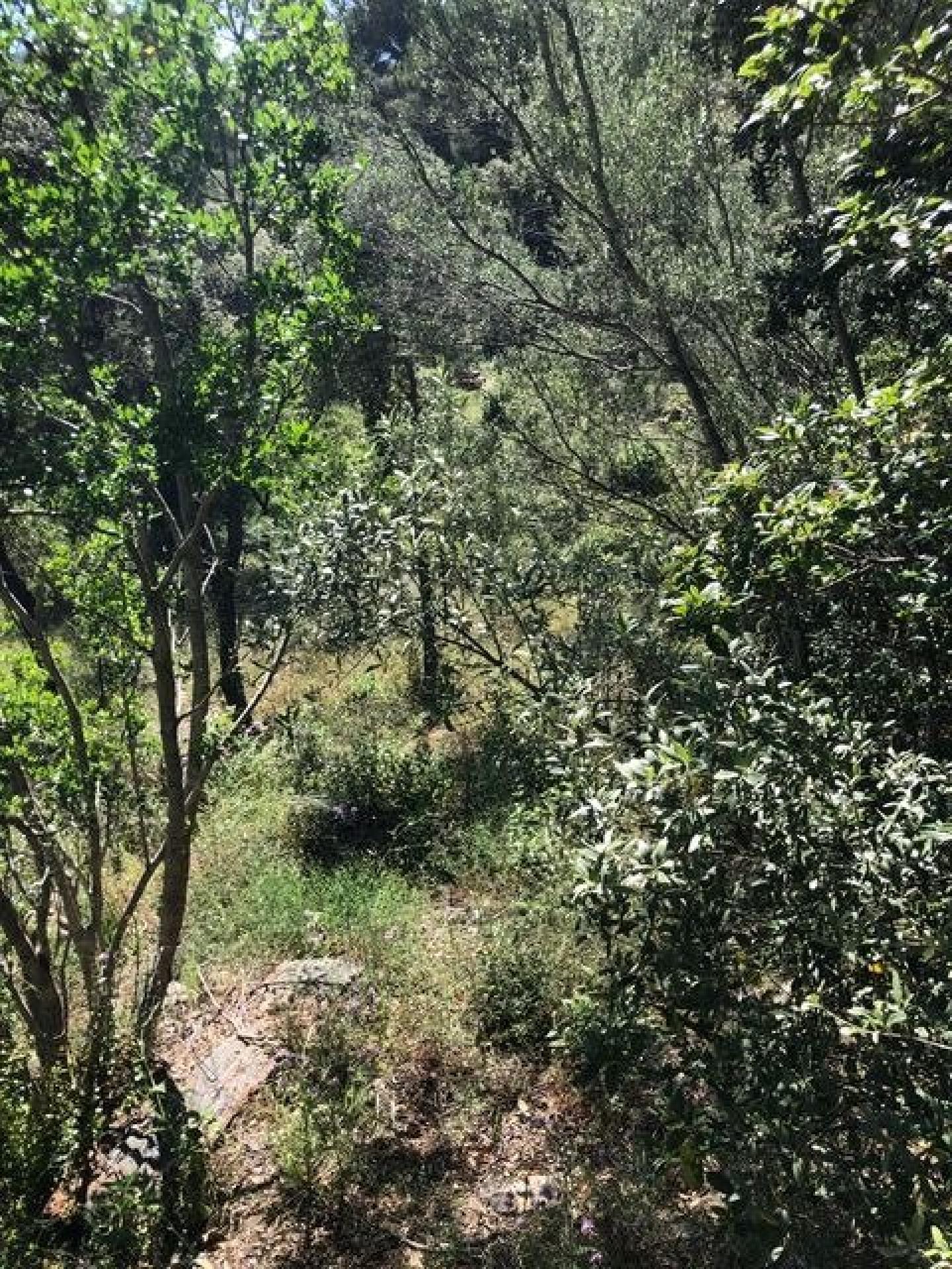 Photo 11 de l'annonce.