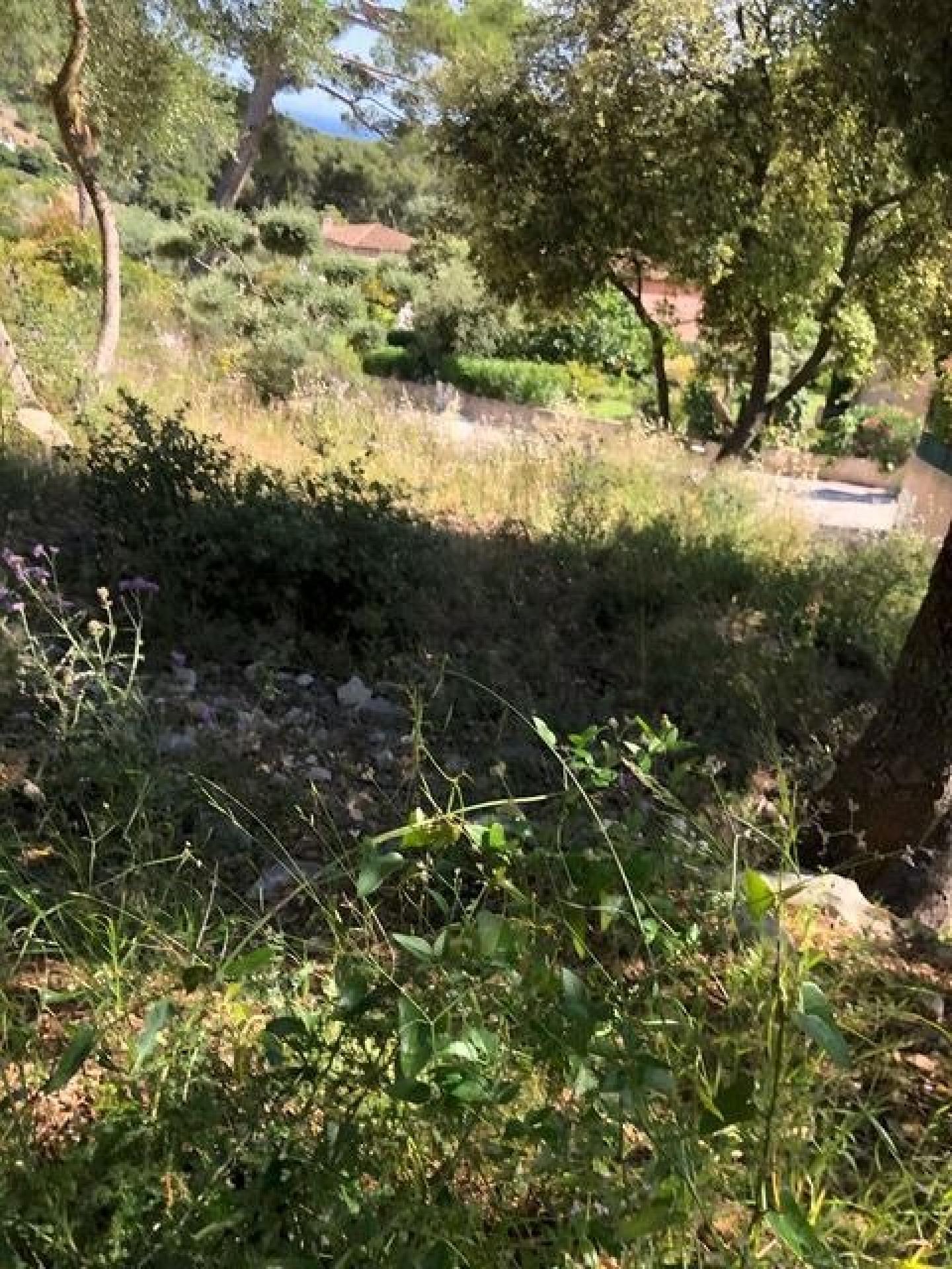 Photo 3 de l'annonce.