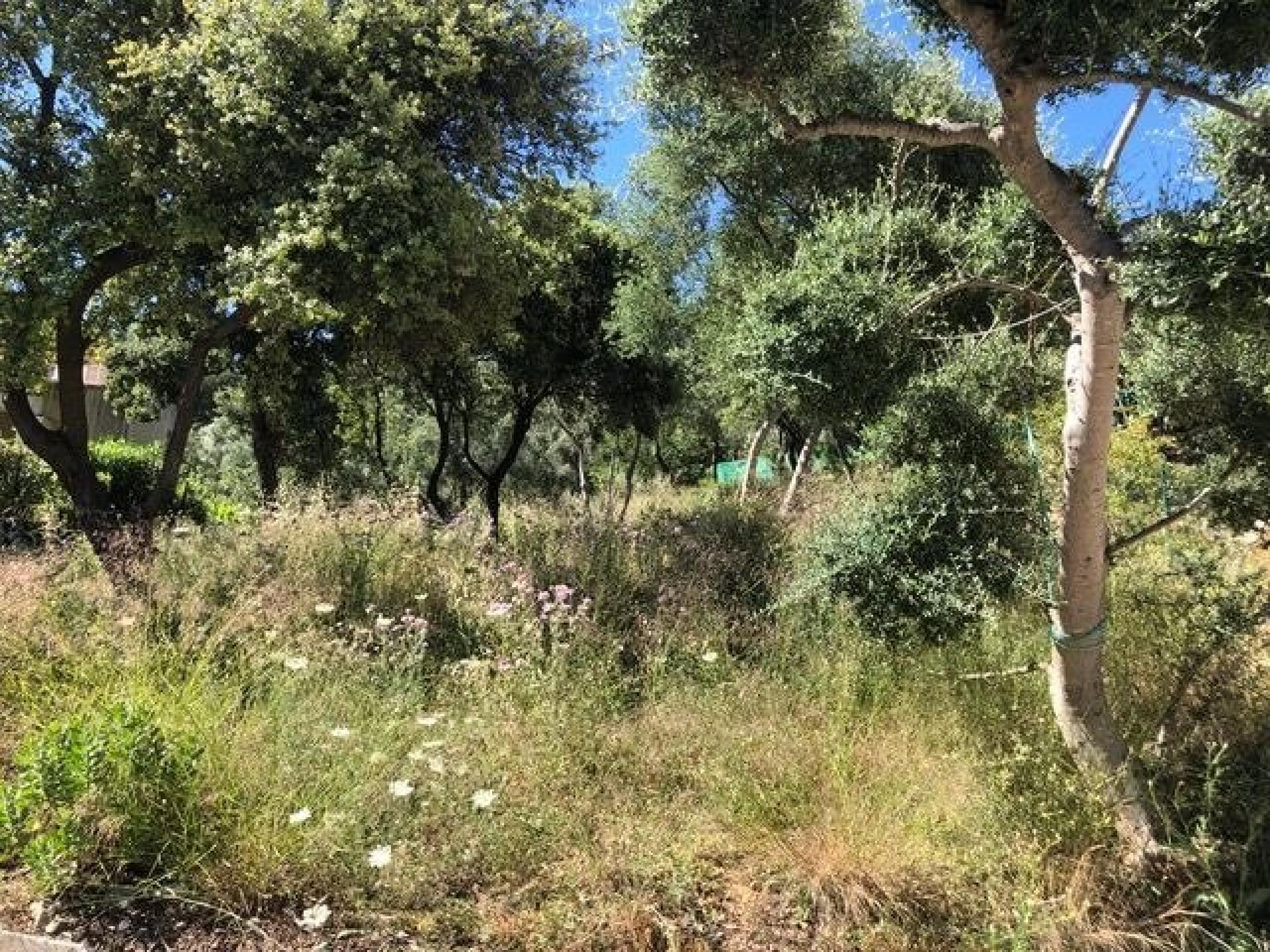 Photo 7 de l'annonce.