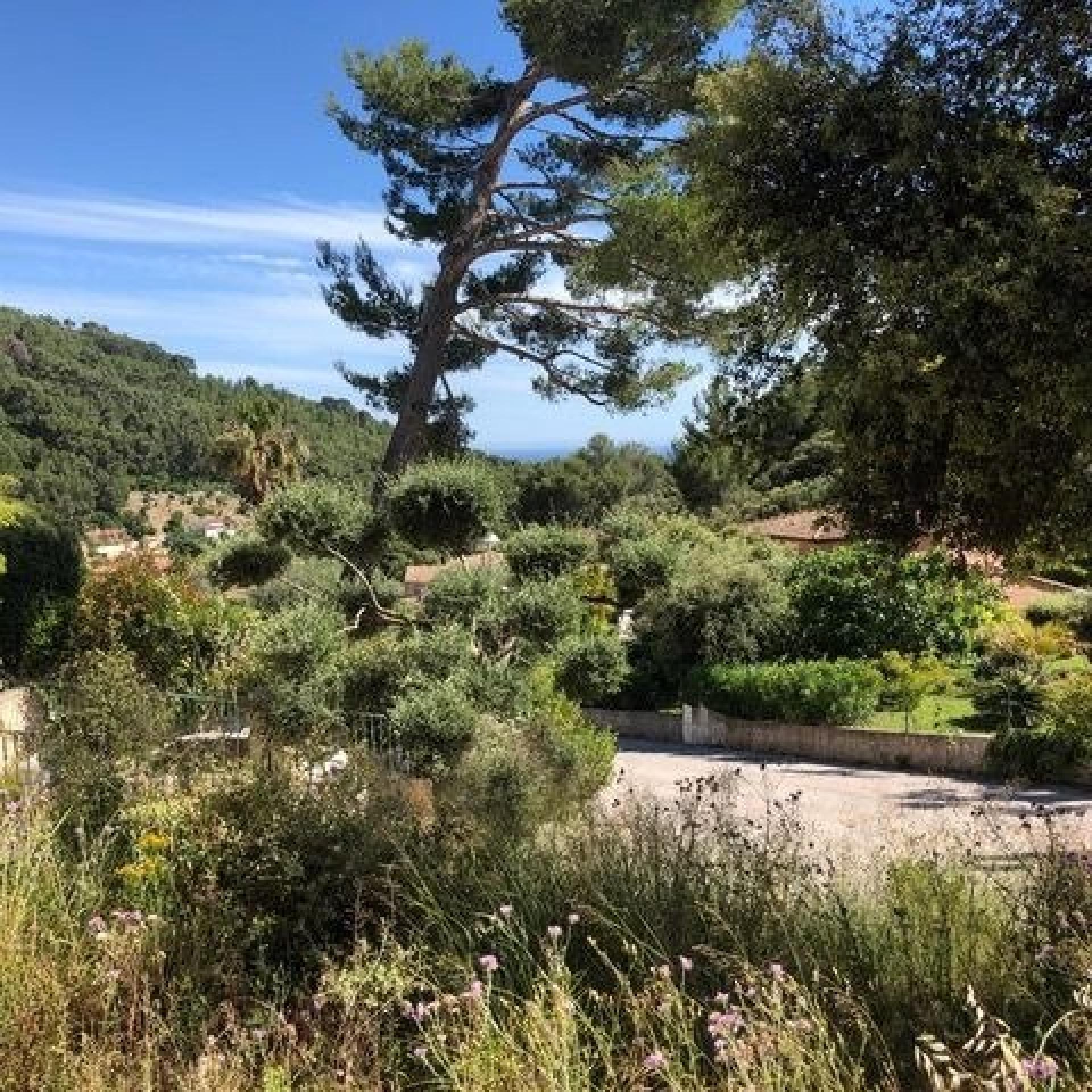 Photo 5 de l'annonce.