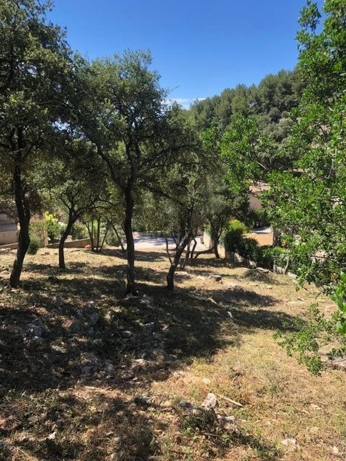 Photo 4 de l'annonce.