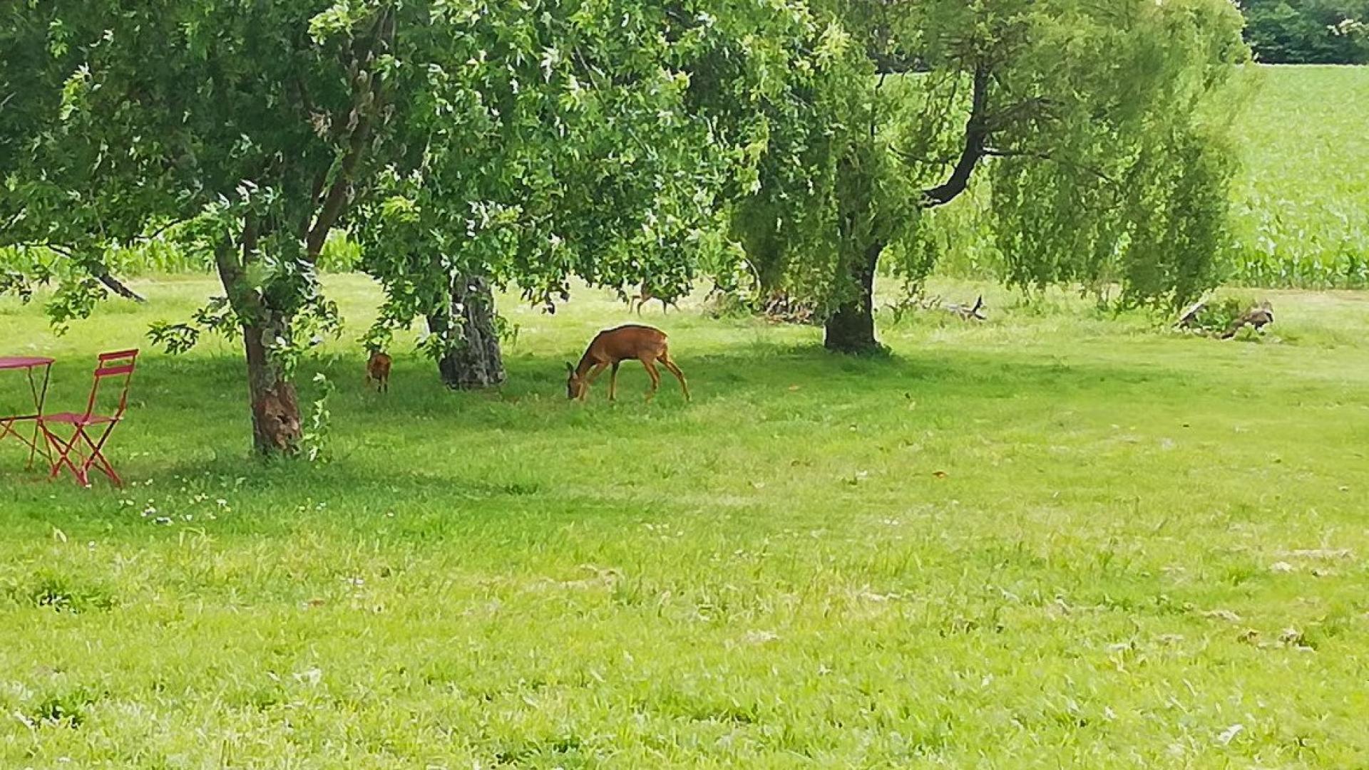 Photo 10 de l'annonce.