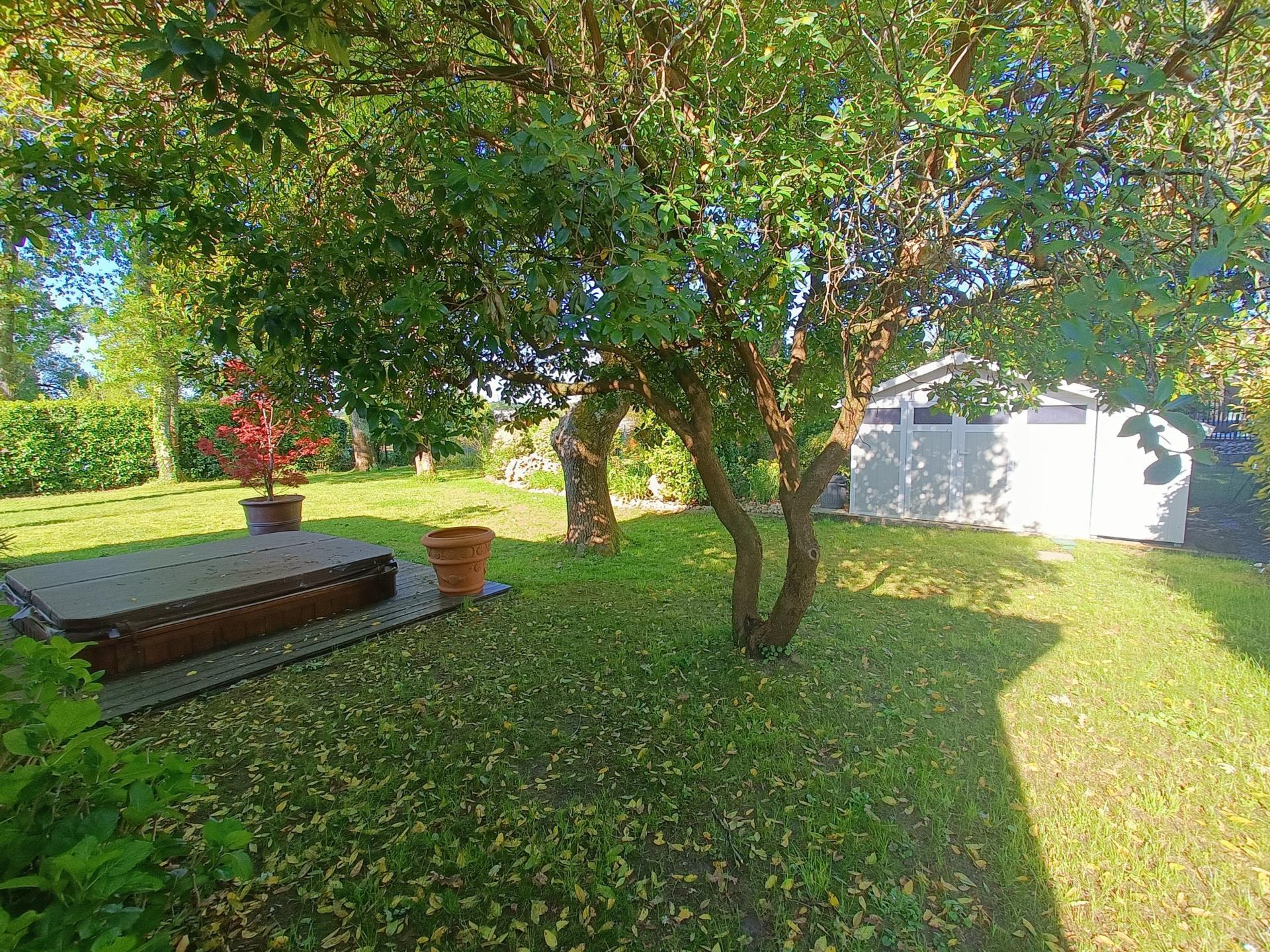 Foto 14 del anuncio.