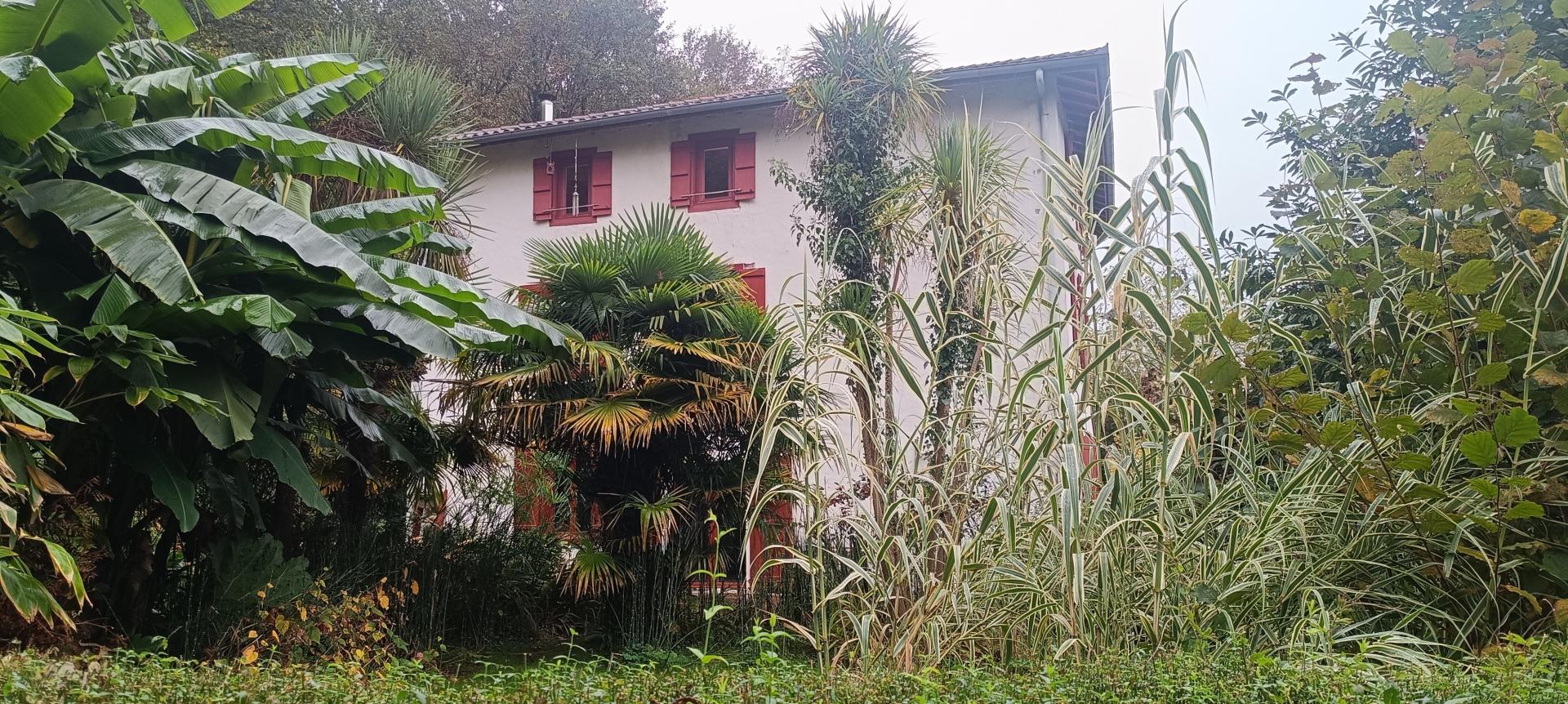 Photographie descriptive du bien