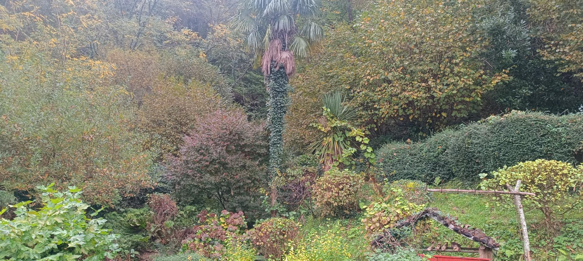 Photo 15 de l'annonce.