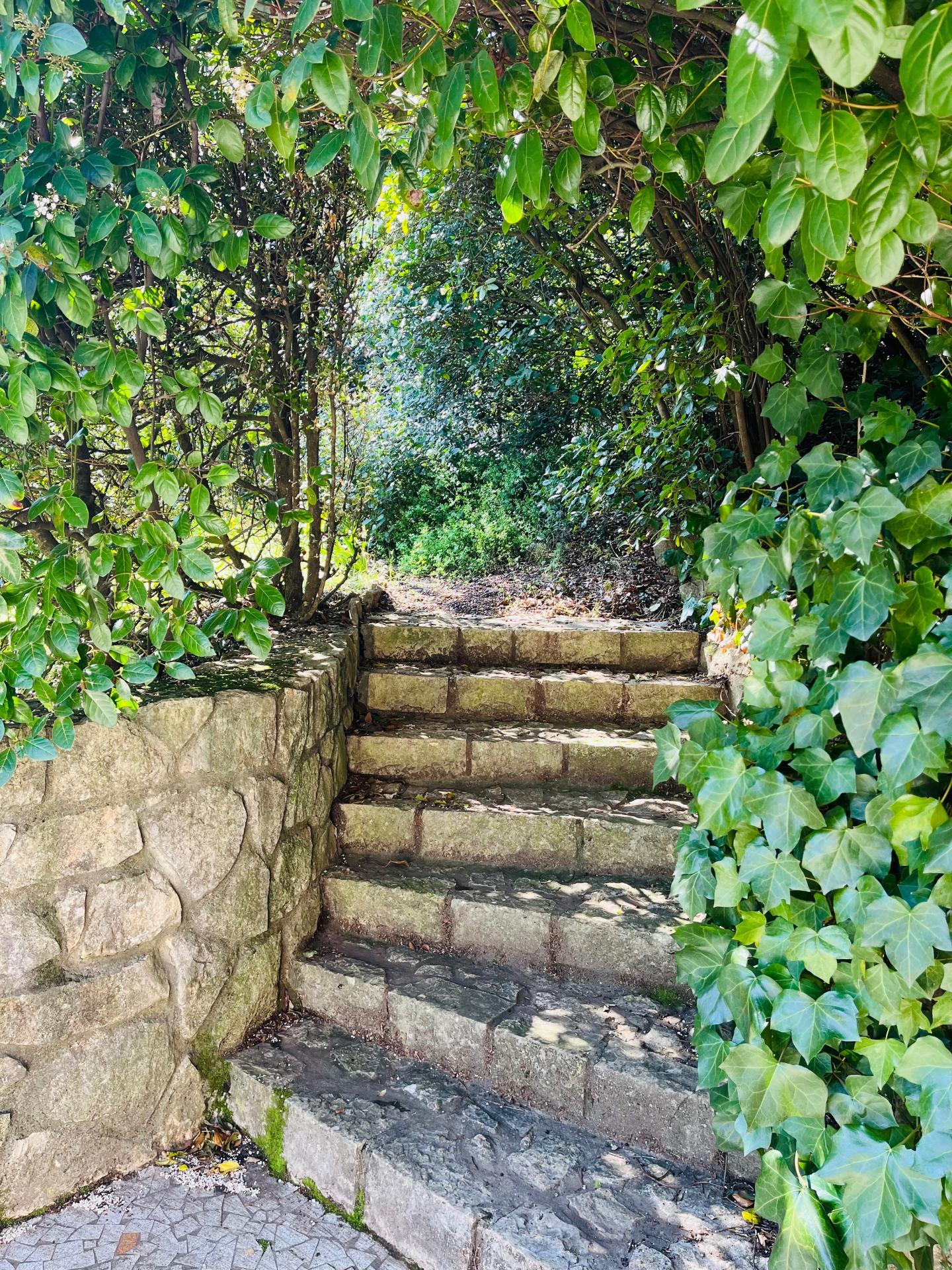 Photo 5 de l'annonce.