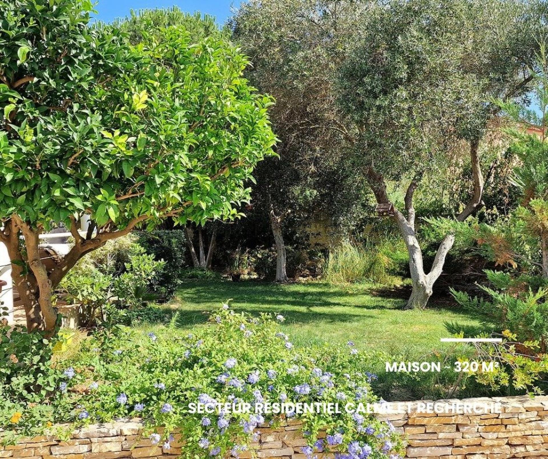 Photo 18 de l'annonce.