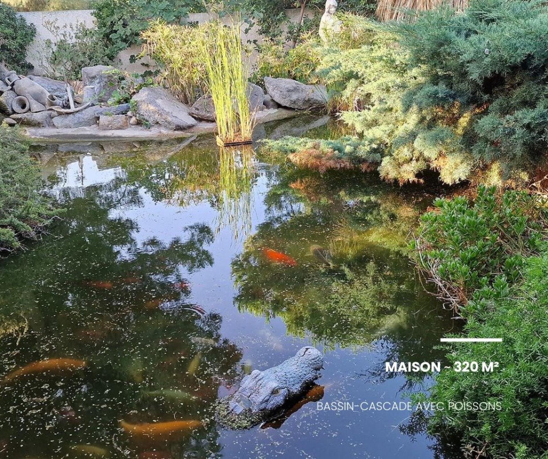 Photo 16 de l'annonce.