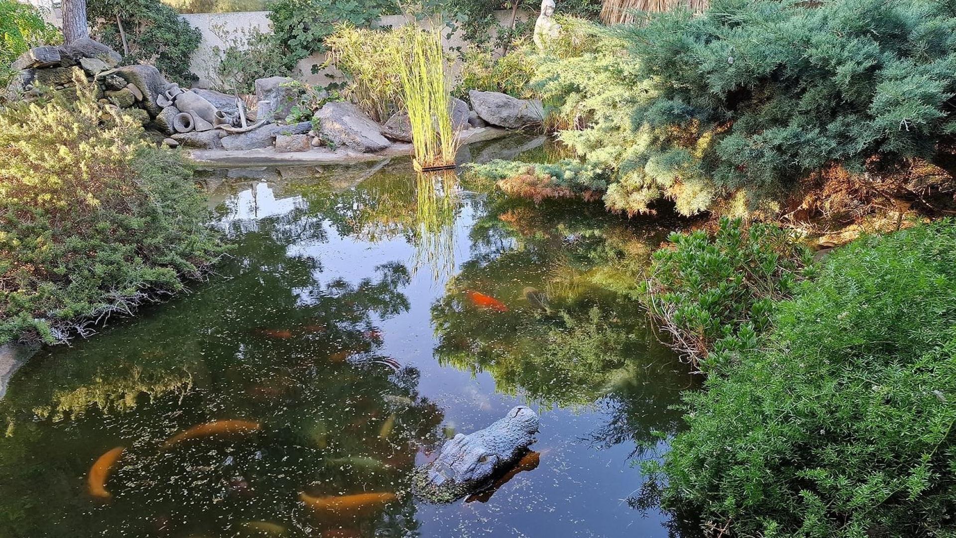 Photo 15 de l'annonce.