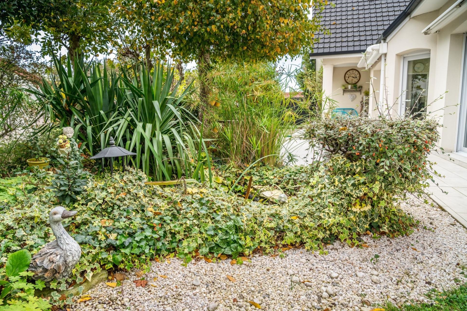 Photo 2 de l'annonce.