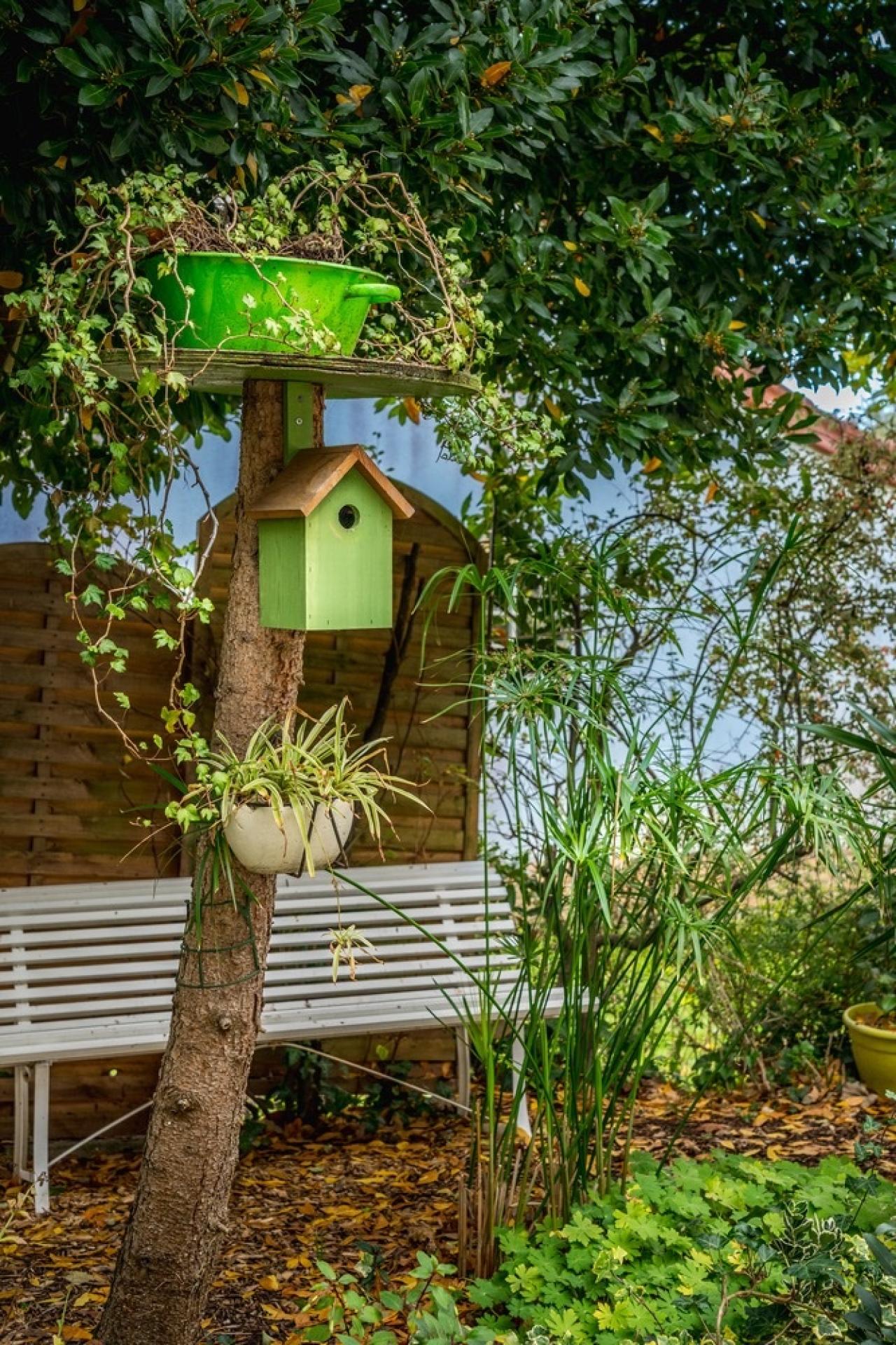 Photo 3 de l'annonce.