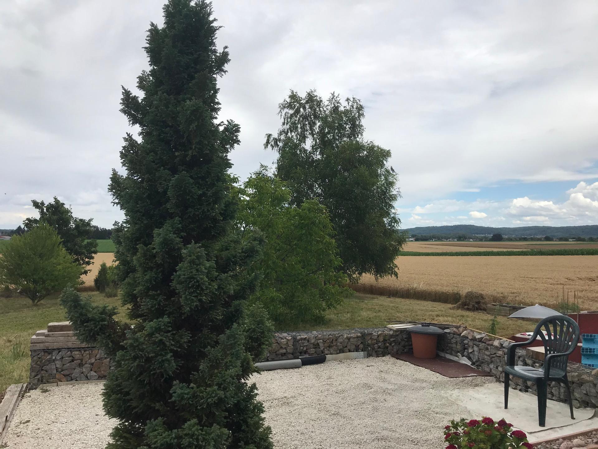 Photo 8 of the listing.