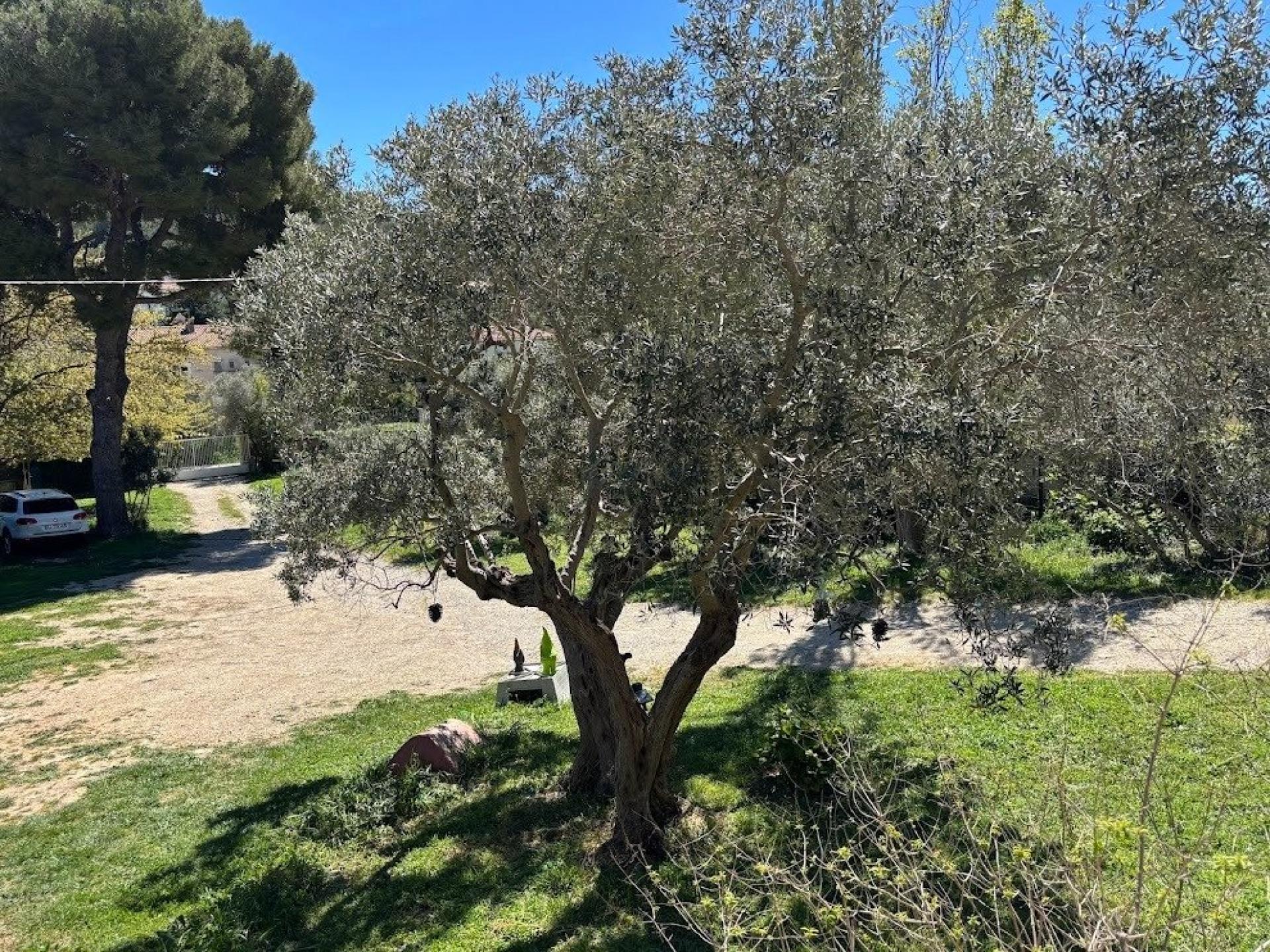 Photo 7 of the listing.