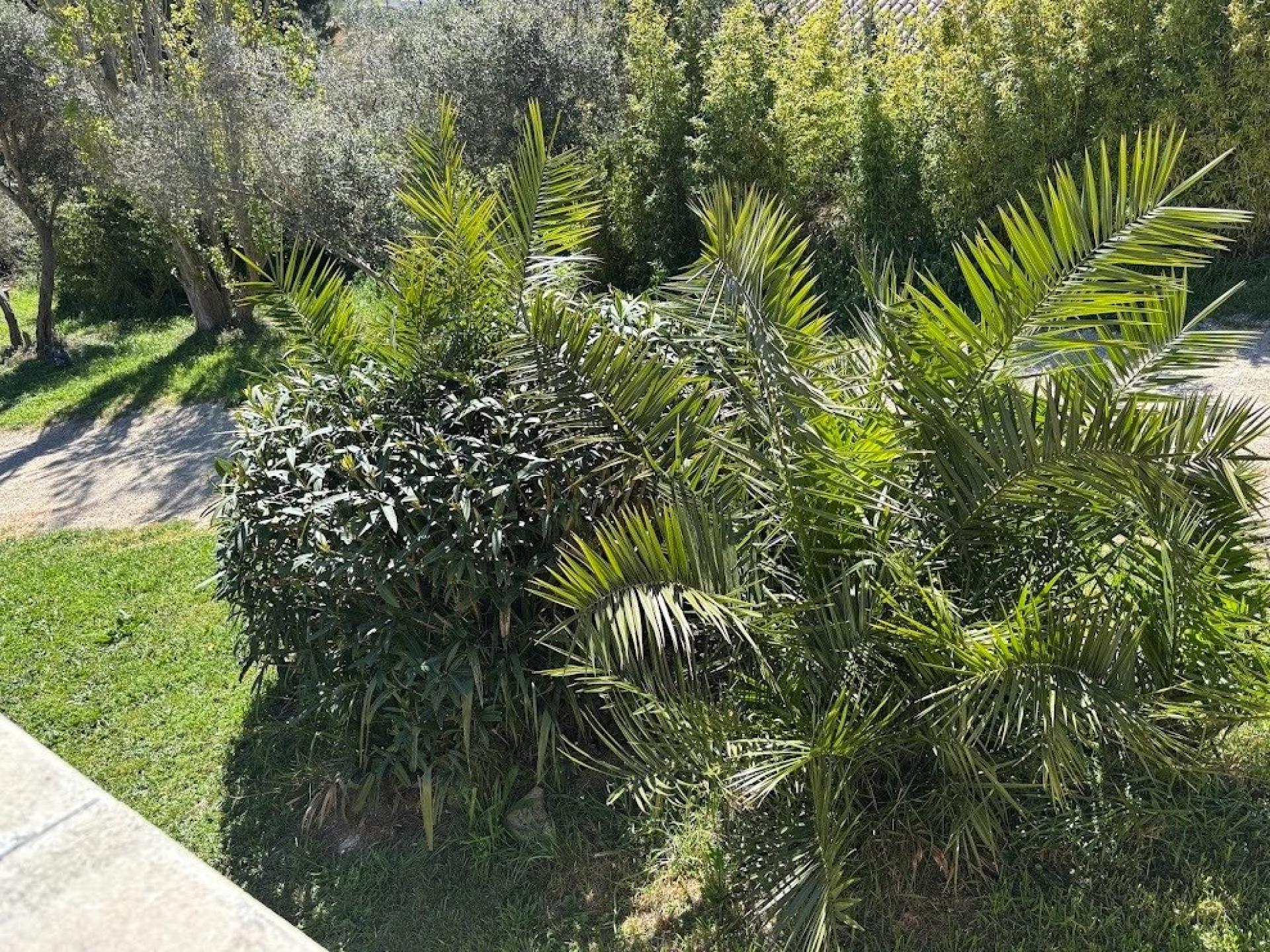 Photo 6 of the listing.