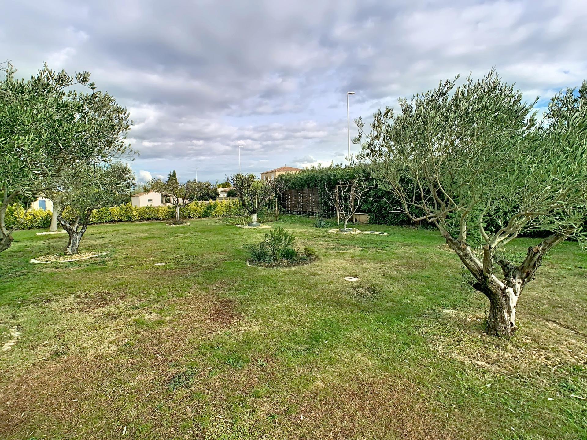 Photo 11 de l'annonce.