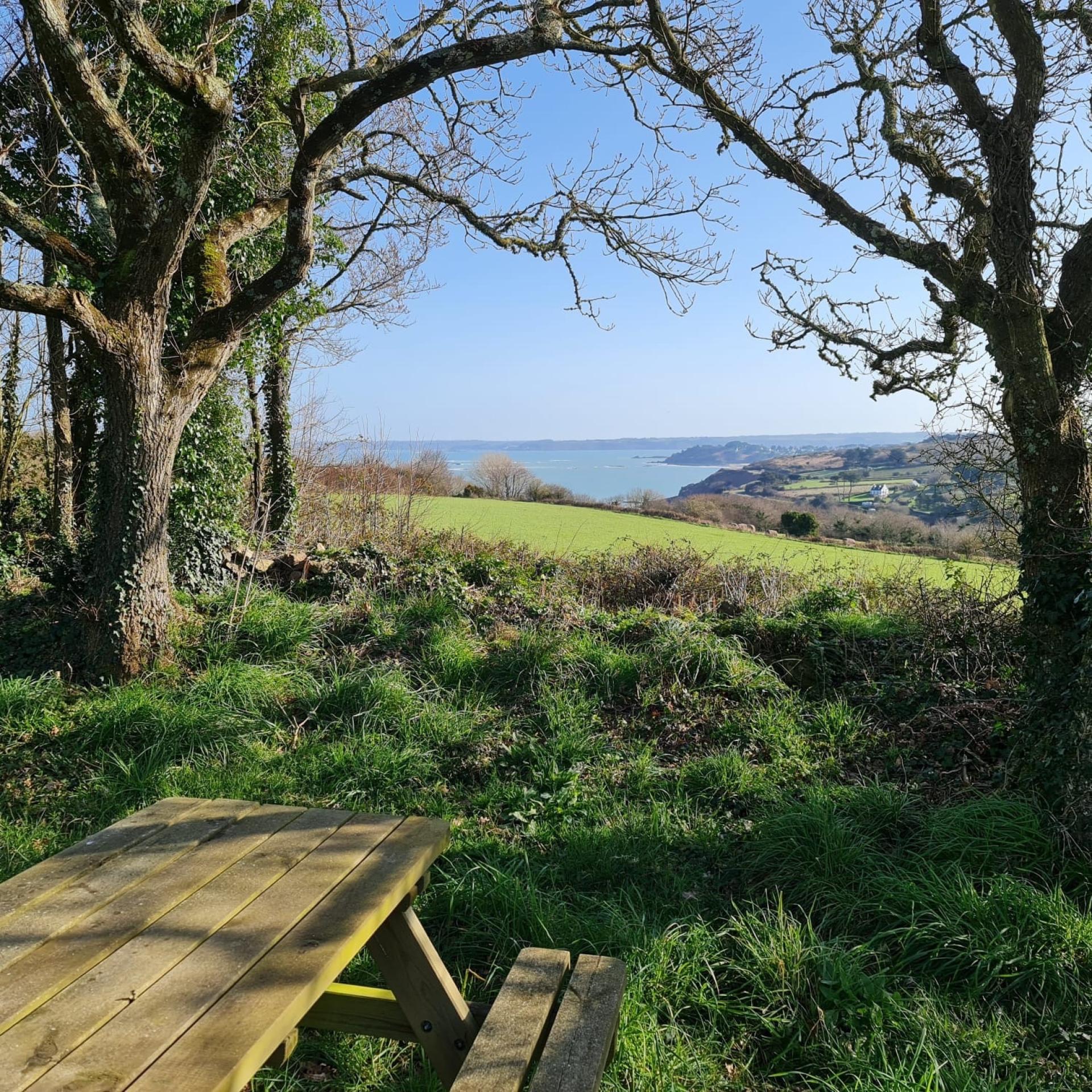 Photo 26 de l'annonce.