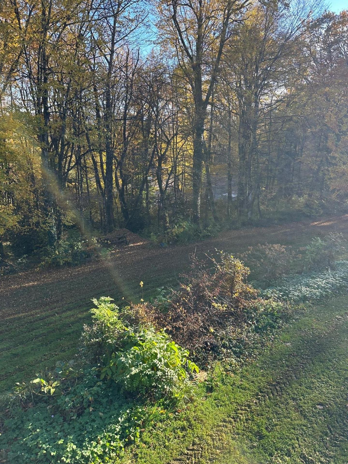 Photo 10 of the listing.