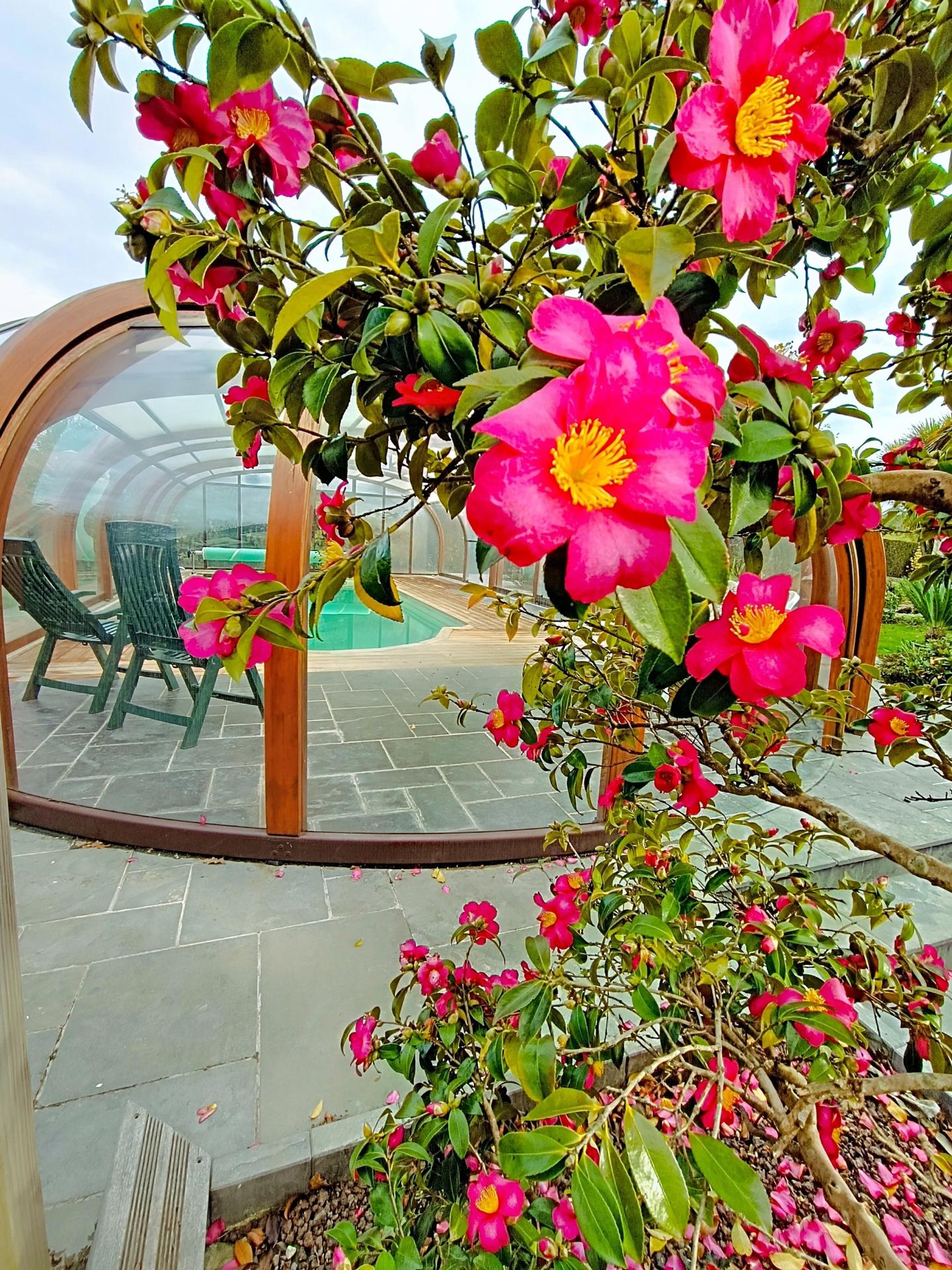 Photo 6 de l'annonce.