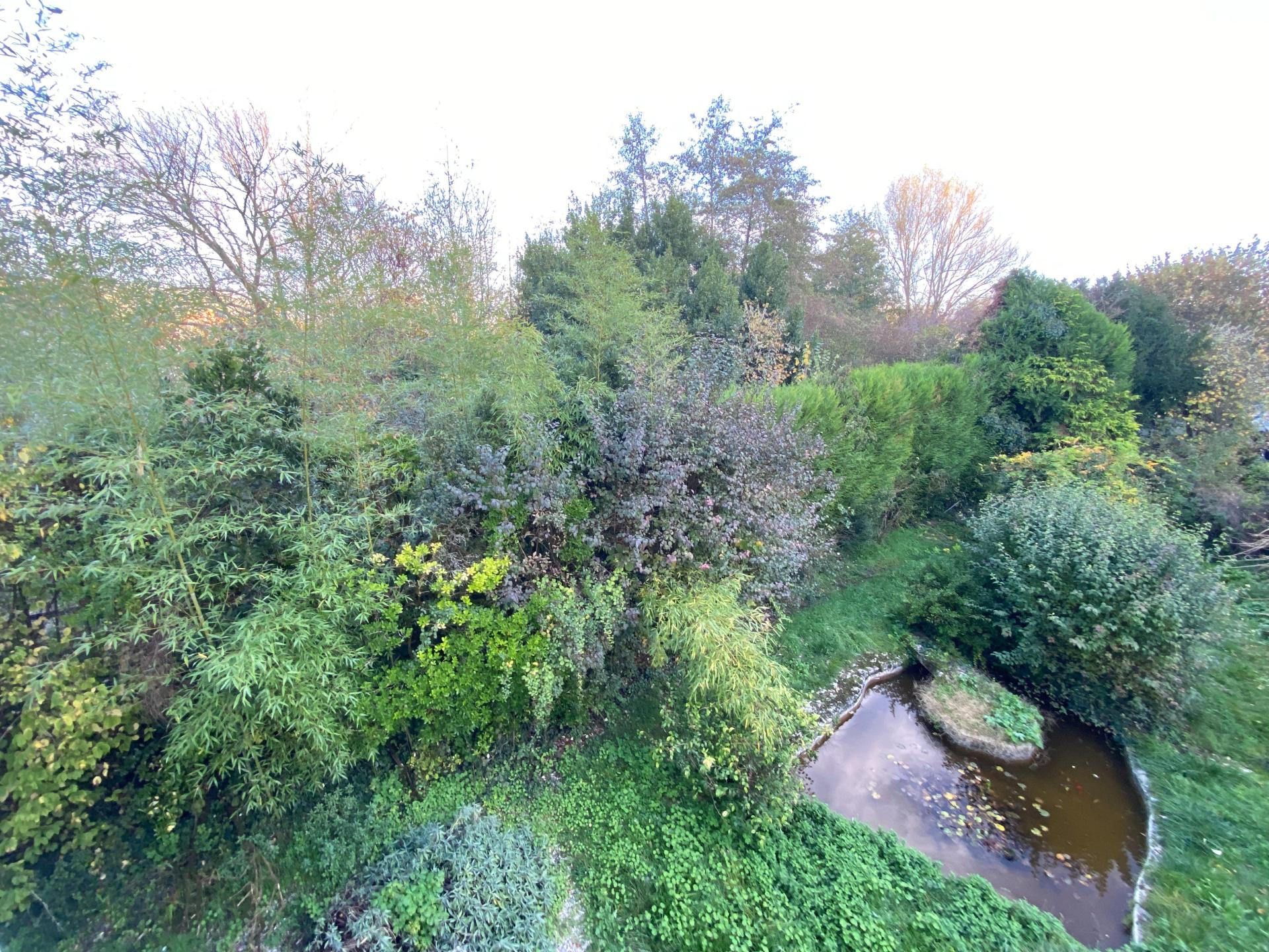 Photo 17 de l'annonce.